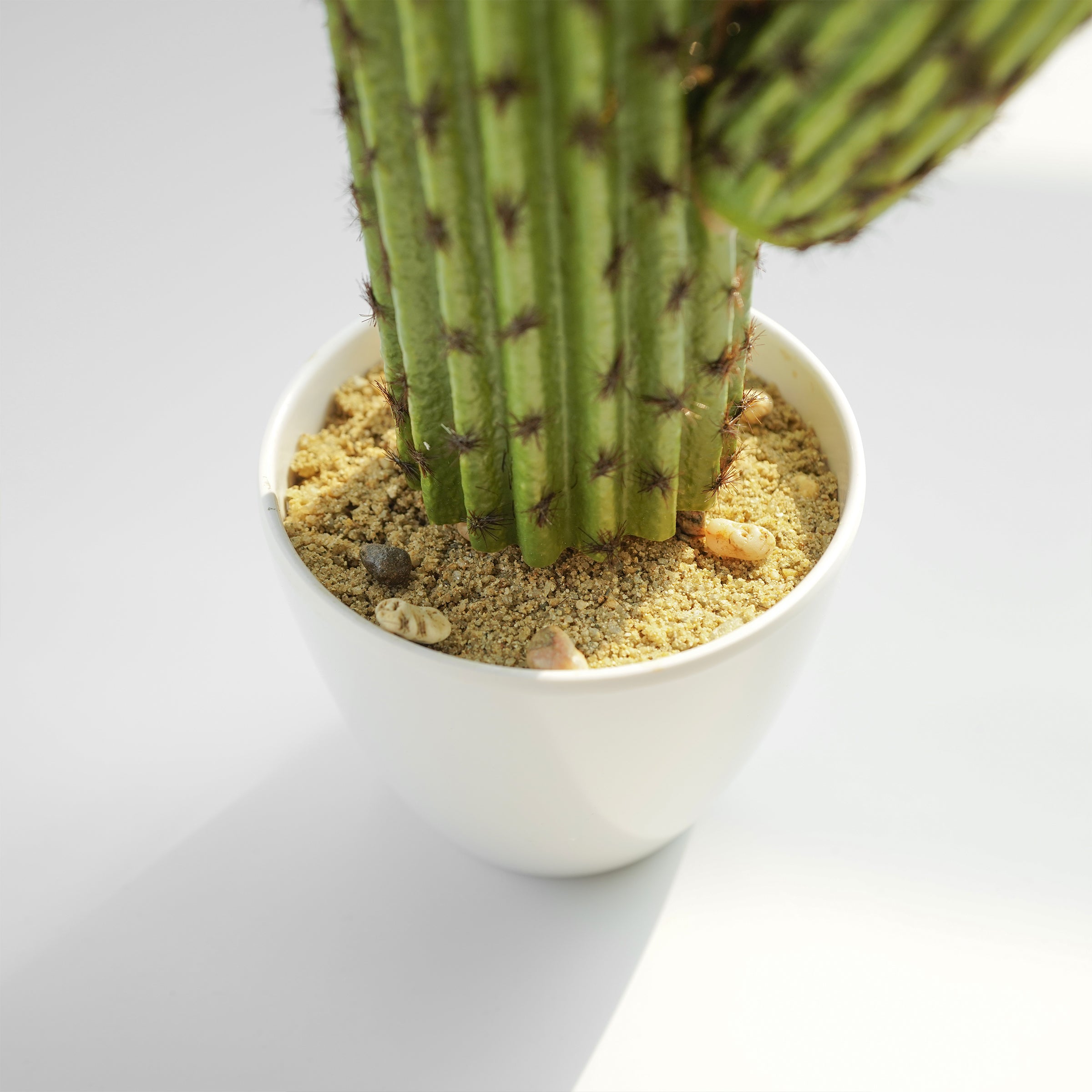 Handmade Decorative Artificial Potted Cactus N38120-PZ005 - Plants - ebarza Furniture UAE | Shop Modern Furniture in Abu Dhabi & Dubai - مفروشات ايبازرا في الامارات | تسوق اثاث عصري وديكورات مميزة في دبي وابوظبي