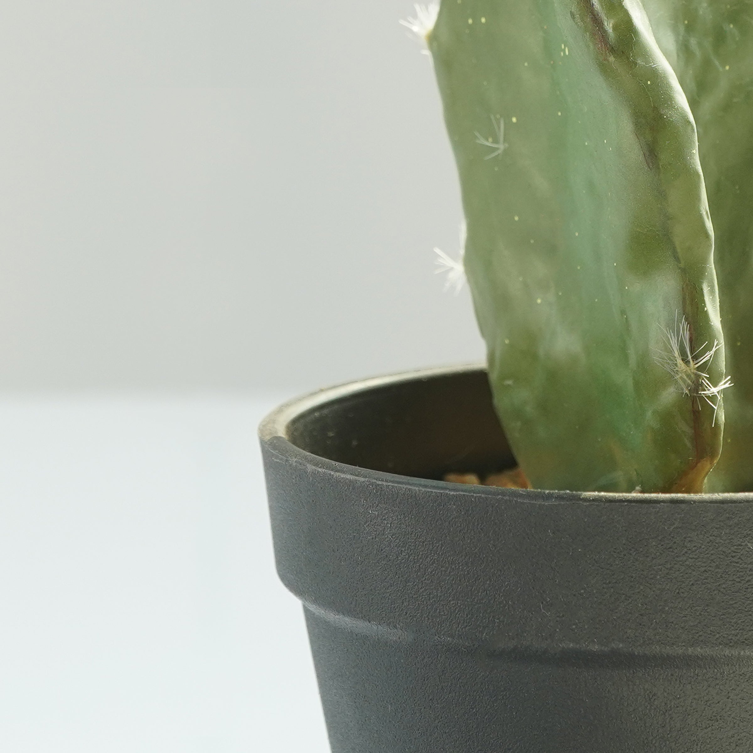 Handmade Decorative Artificial Potted Cactus PR00015C - Plants - ebarza Furniture UAE | Shop Modern Furniture in Abu Dhabi & Dubai - مفروشات ايبازرا في الامارات | تسوق اثاث عصري وديكورات مميزة في دبي وابوظبي