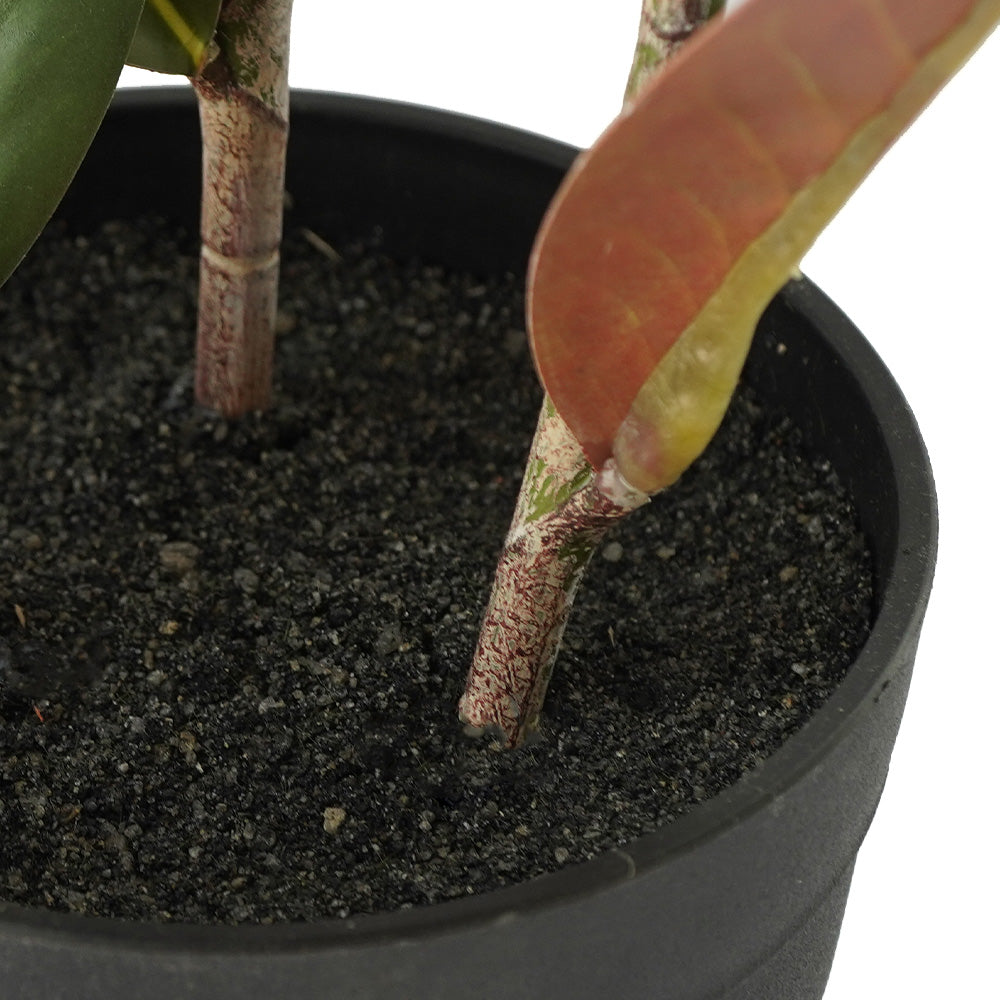 Handmade Decorative Artificial Potted Magnolia Plant N37220-PZ003 - Plants - ebarza Furniture UAE | Shop Modern Furniture in Abu Dhabi & Dubai - مفروشات ايبازرا في الامارات | تسوق اثاث عصري وديكورات مميزة في دبي وابوظبي