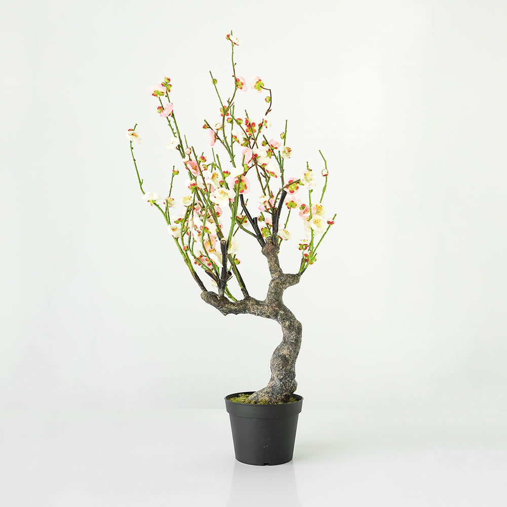 Handmade Decorative Artificial Potted Plum Blossom YC049 - Plants - ebarza Furniture UAE | Shop Modern Furniture in Abu Dhabi & Dubai - مفروشات ايبازرا في الامارات | تسوق اثاث عصري وديكورات مميزة في دبي وابوظبي