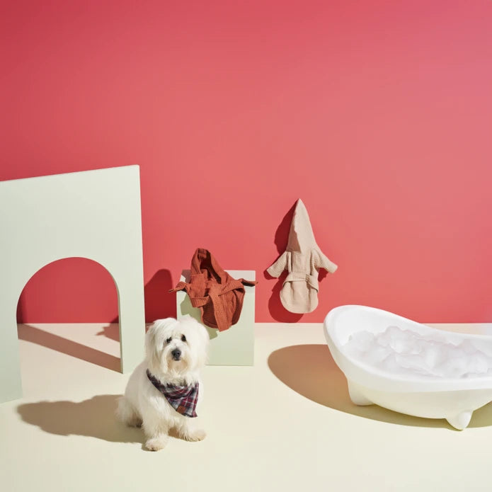 Beige Karaca Home X Paw Oliver pet bathrobe set with a cozy, soft design for small pets, perfect for after baths.