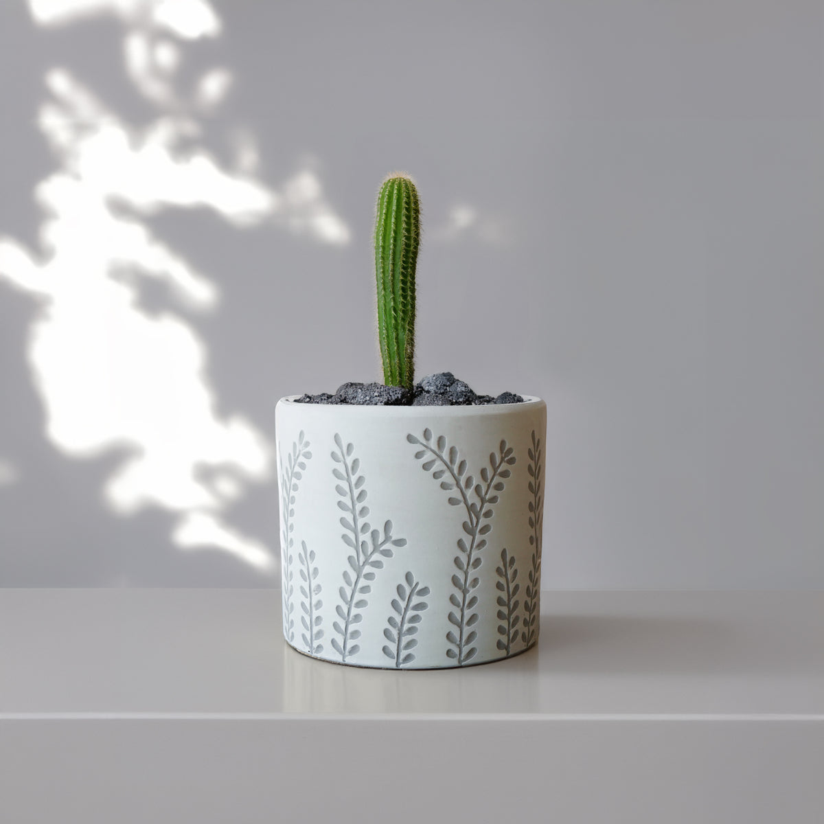 Outdoor and indoor leafy branch planter box by BEACON, made of durable material, perfect for garden or porch decoration.