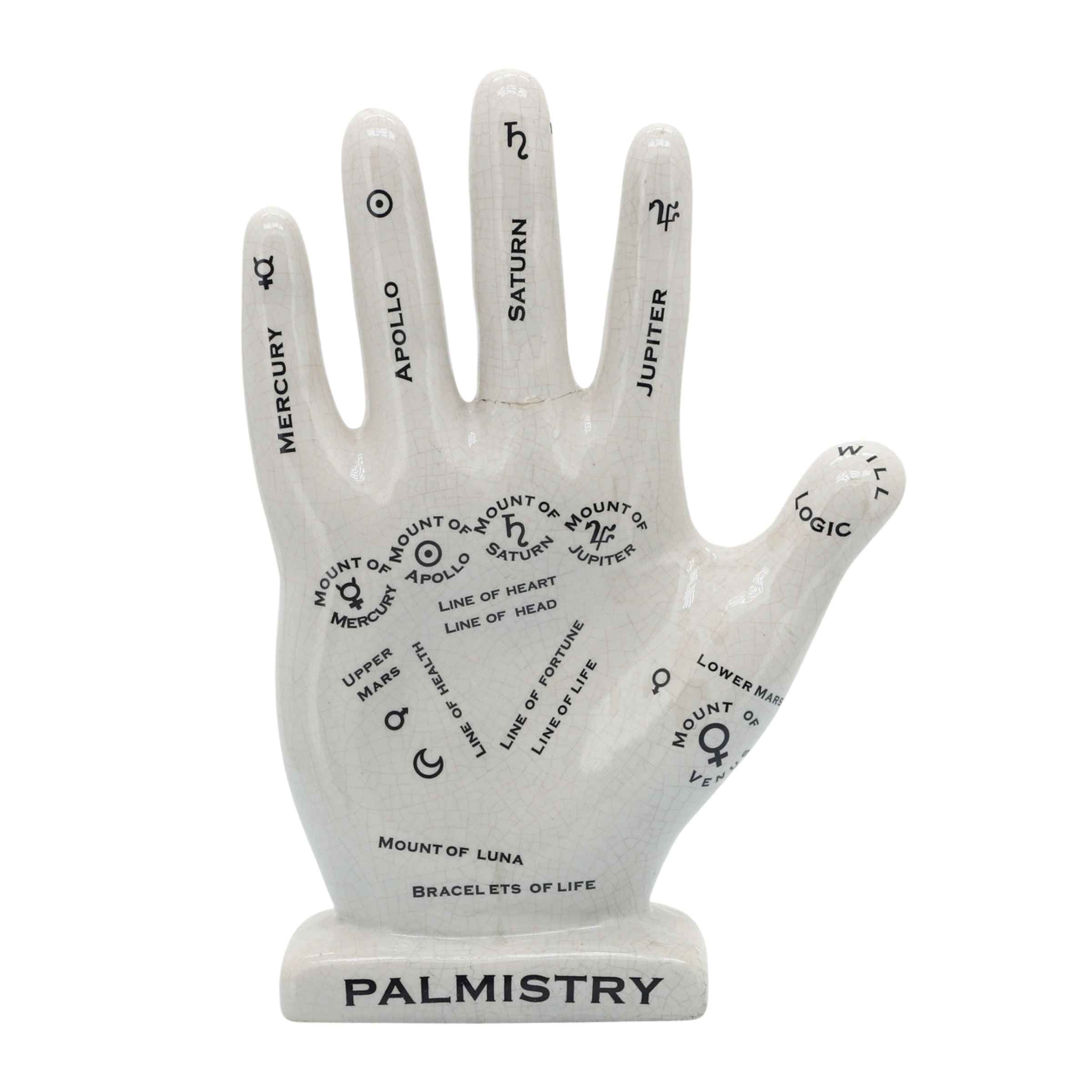 Palmistry Hand Porcelain Décor 30 Cm 16711-01 - Home Decor Figurines - ebarza Furniture UAE | Shop Modern Furniture in Abu Dhabi & Dubai - مفروشات ايبازرا في الامارات | تسوق اثاث عصري وديكورات مميزة في دبي وابوظبي