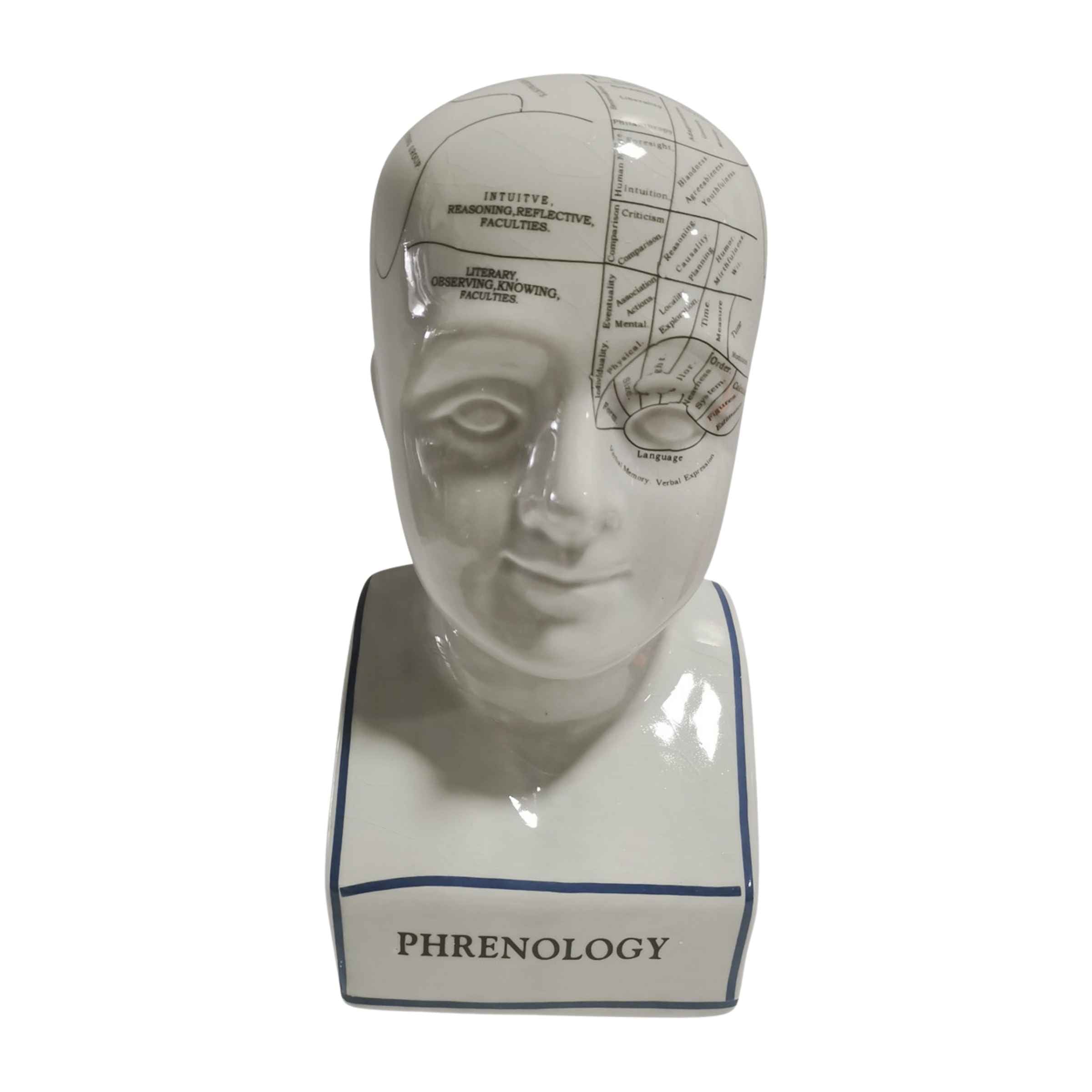 Phrenology Bust Porcelain Décor 30 Cm 16710-01 - Home Decor Figurines - ebarza Furniture UAE | Shop Modern Furniture in Abu Dhabi & Dubai - مفروشات ايبازرا في الامارات | تسوق اثاث عصري وديكورات مميزة في دبي وابوظبي