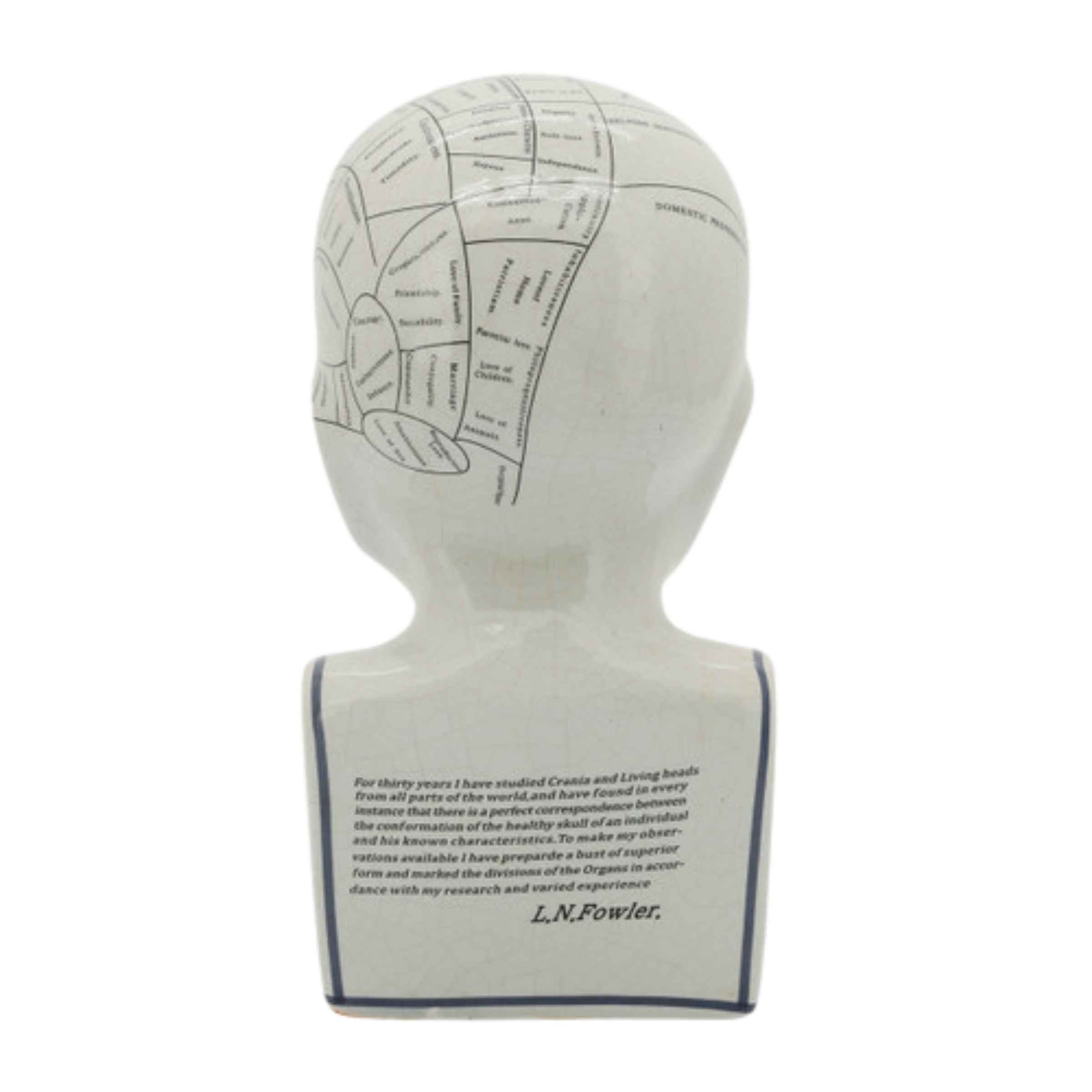 Phrenology Bust Porcelain Décor 30 Cm 16710-01 - Home Decor Figurines - ebarza Furniture UAE | Shop Modern Furniture in Abu Dhabi & Dubai - مفروشات ايبازرا في الامارات | تسوق اثاث عصري وديكورات مميزة في دبي وابوظبي