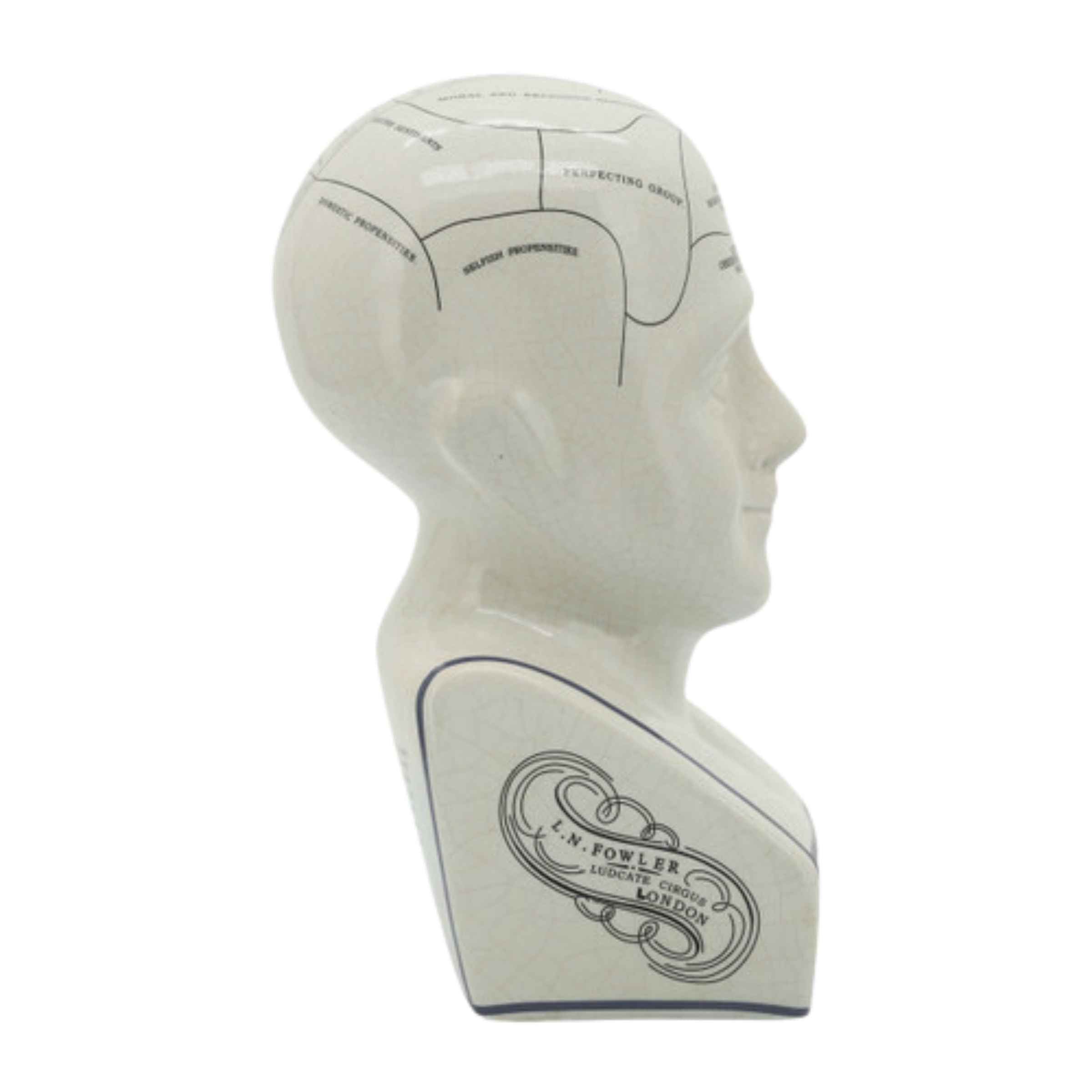 Phrenology Bust Porcelain Décor 30 Cm 16710-01 - Home Decor Figurines - ebarza Furniture UAE | Shop Modern Furniture in Abu Dhabi & Dubai - مفروشات ايبازرا في الامارات | تسوق اثاث عصري وديكورات مميزة في دبي وابوظبي