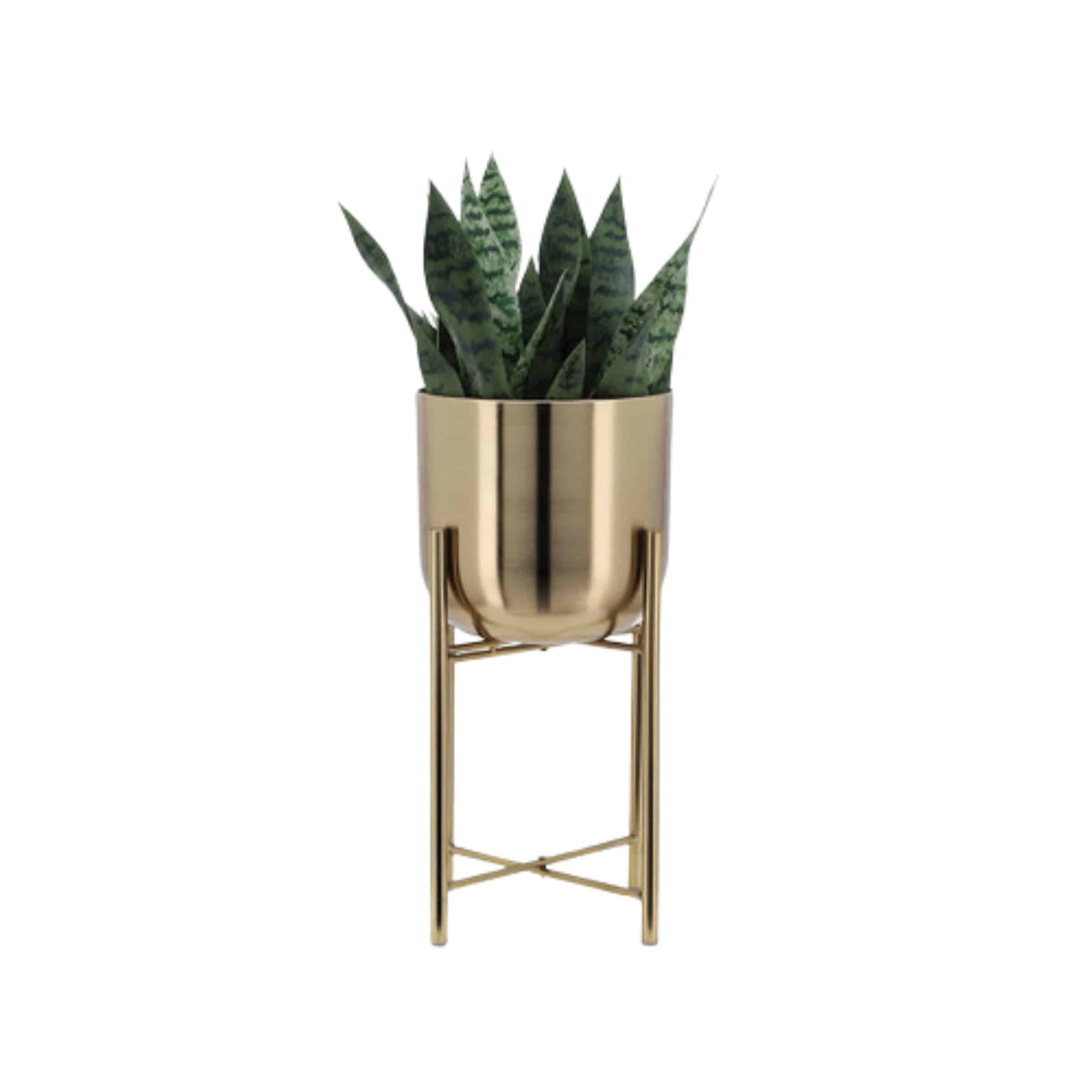 Set Of 3 Metal Planters On Stand - 40,30,20 Cm - Gold 14630 - Planter Boxes - ebarza Furniture UAE | Shop Modern Furniture in Abu Dhabi & Dubai - مفروشات ايبازرا في الامارات | تسوق اثاث عصري وديكورات مميزة في دبي وابوظبي