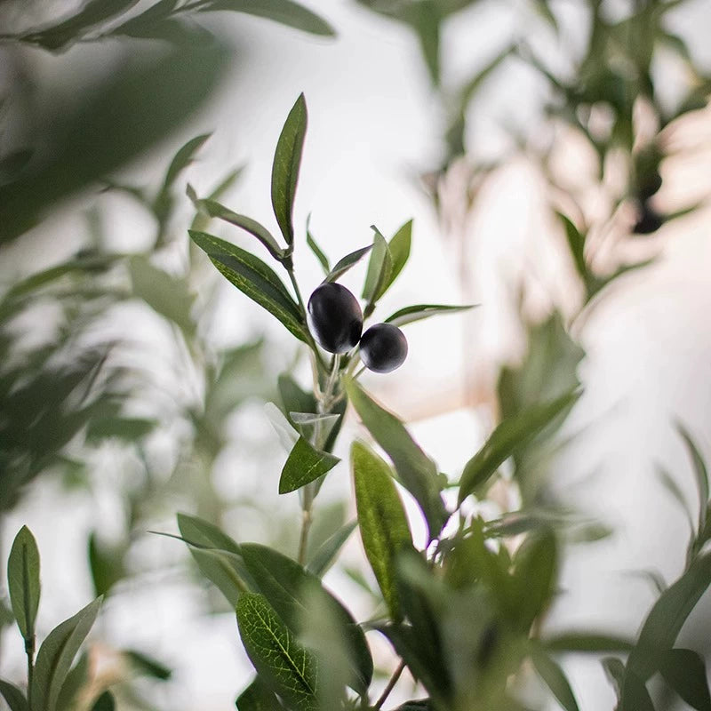 Simulated Olive Tree plant by BEACON, featuring realistic green foliage and textured trunk in a natural outdoor setting.