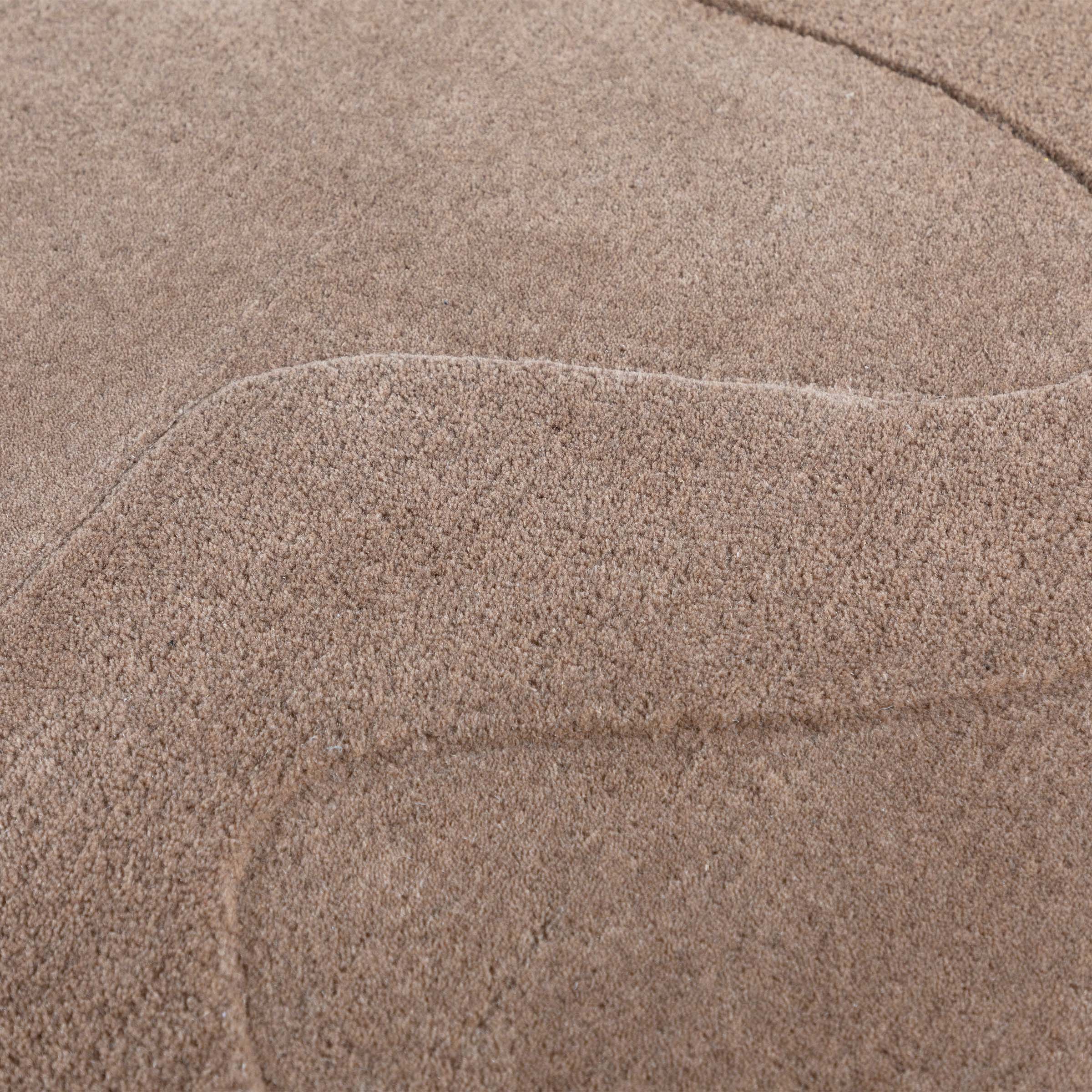 Dark beige wool rug measuring 230x160 cm by Javi, featuring a soft textured surface and intricate pattern design.