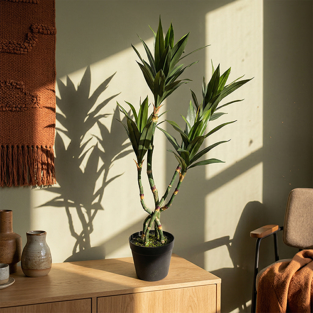 Artificial Dracaena Reflexa plant, 80cm tall, with green variegated leaves, from BEACON, ideal for indoor decorative plants.