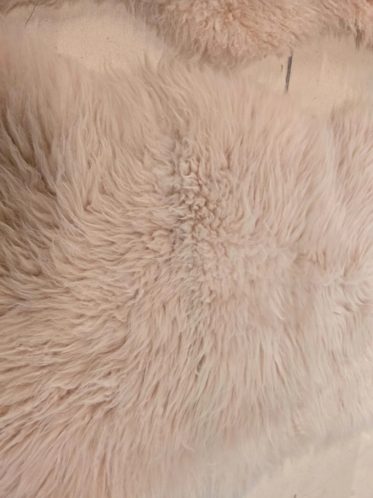 AS IS - Luxurious Sheepskin Rug -Natural Shp-P -  DISPLAY ITEM - ebarza Furniture UAE | Shop Modern Furniture in Abu Dhabi & Dubai - مفروشات ايبازرا في الامارات | تسوق اثاث عصري وديكورات مميزة في دبي وابوظبي