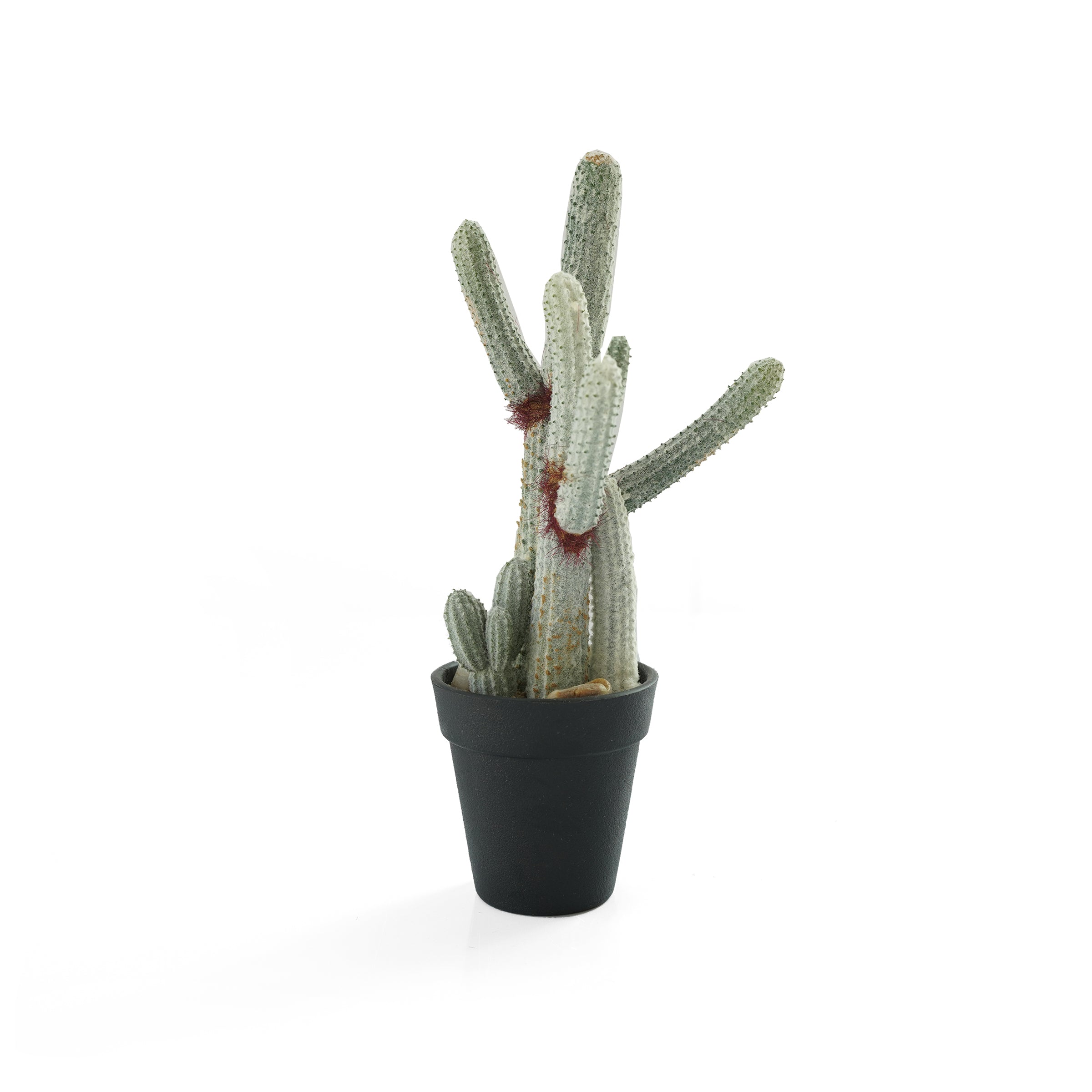 Handmade Decorative Artificial Potted Cactus N35020-SM121 -  Plants | صبار صناعي مزخرف مصنوع يدويًا - ebarza Furniture UAE | Shop Modern Furniture in Abu Dhabi & Dubai - مفروشات ايبازرا في الامارات | تسوق اثاث عصري وديكورات مميزة في دبي وابوظبي