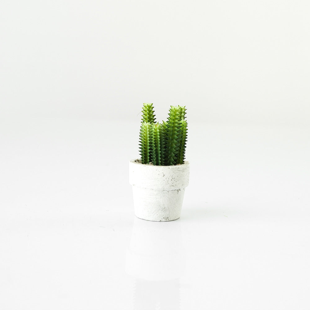 Handmade Decorative Artificial Potted Cactus N35020-SM157 -  Plants | نبات صناعي مزخرف يدويًا + وعاء زراعه - ebarza Furniture UAE | Shop Modern Furniture in Abu Dhabi & Dubai - مفروشات ايبازرا في الامارات | تسوق اثاث عصري وديكورات مميزة في دبي وابوظبي