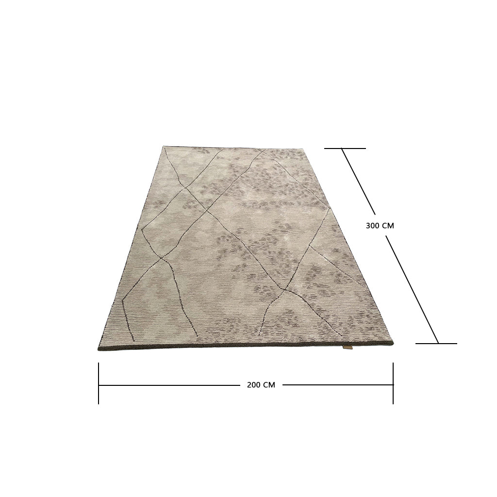 Pre-order 55 Days Delivery 300X200 Cm Carto Hand Tufted Acrylic Carpet NR-092-3020