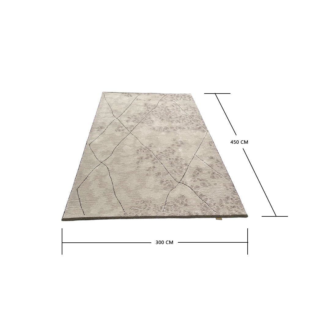 Pre-order 55 Days Delivery 450X300 Cm Carto Hand Tufted Acrylic Carpet NR-092-4530