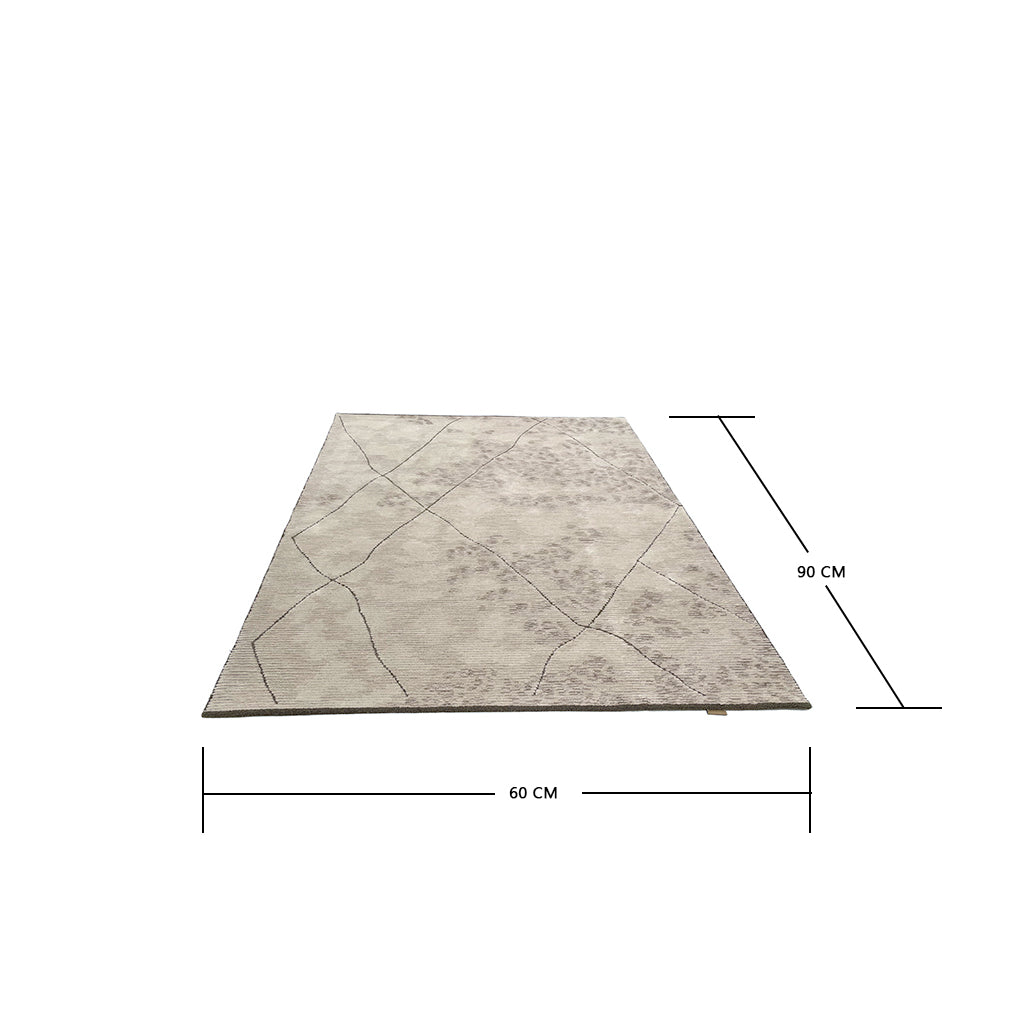 Pre-order 55 Days Delivery 90X60 Cm Carto Hand Tufted Acrylic Carpet NR-092-9060