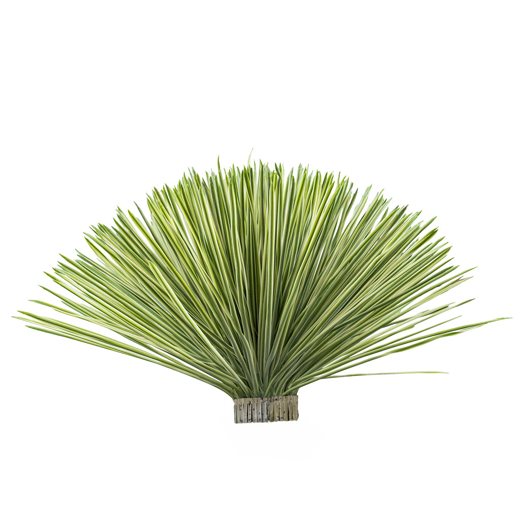 Artificial Yucca Rostrata plant head with 720 leaves, realistic plant replica by BEACON, ideal for home or office decor.