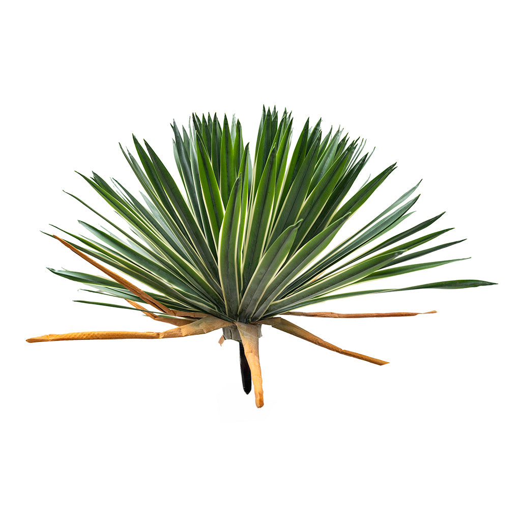 Artificial Agave Sisalana plant head with 112 green leaves, designed for decorative indoor or outdoor plant displays.