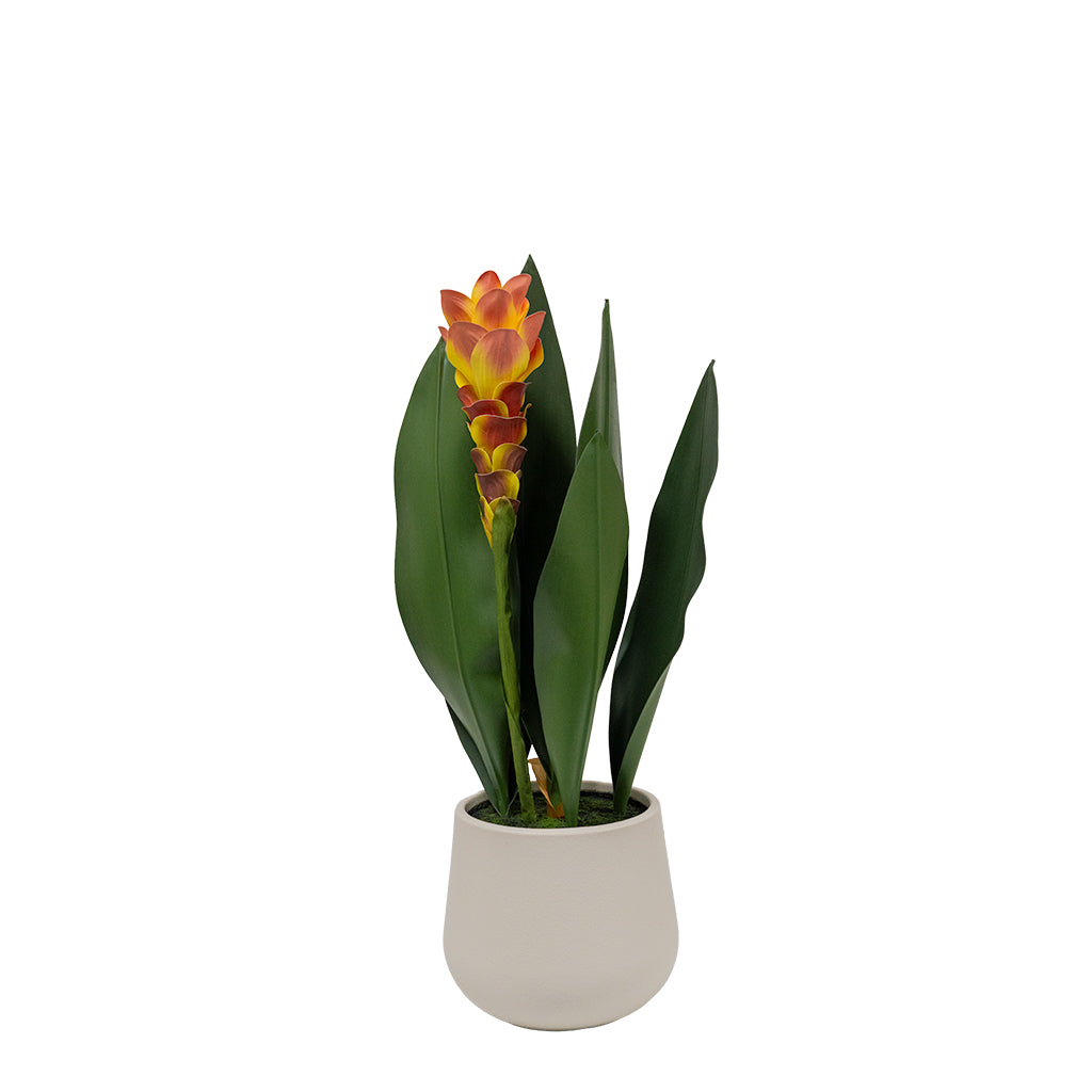 Artificial Curcuma Alismatifolia plant, 63cm tall, with vibrant green leaves and pink flowers, from BEACON XYDG.