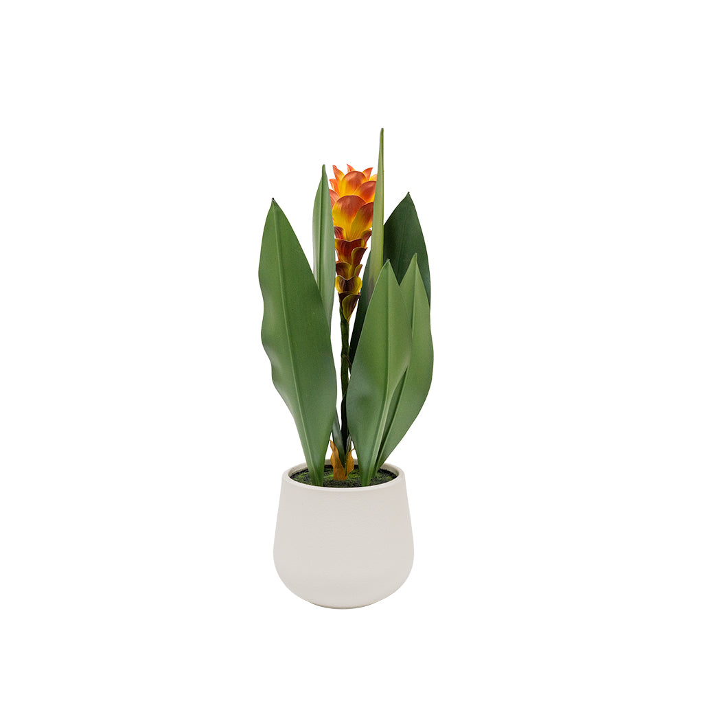 Artificial Curcuma Alismatifolia plant, 63cm tall, with vibrant green leaves and pink flower spikes, designed for home decor.