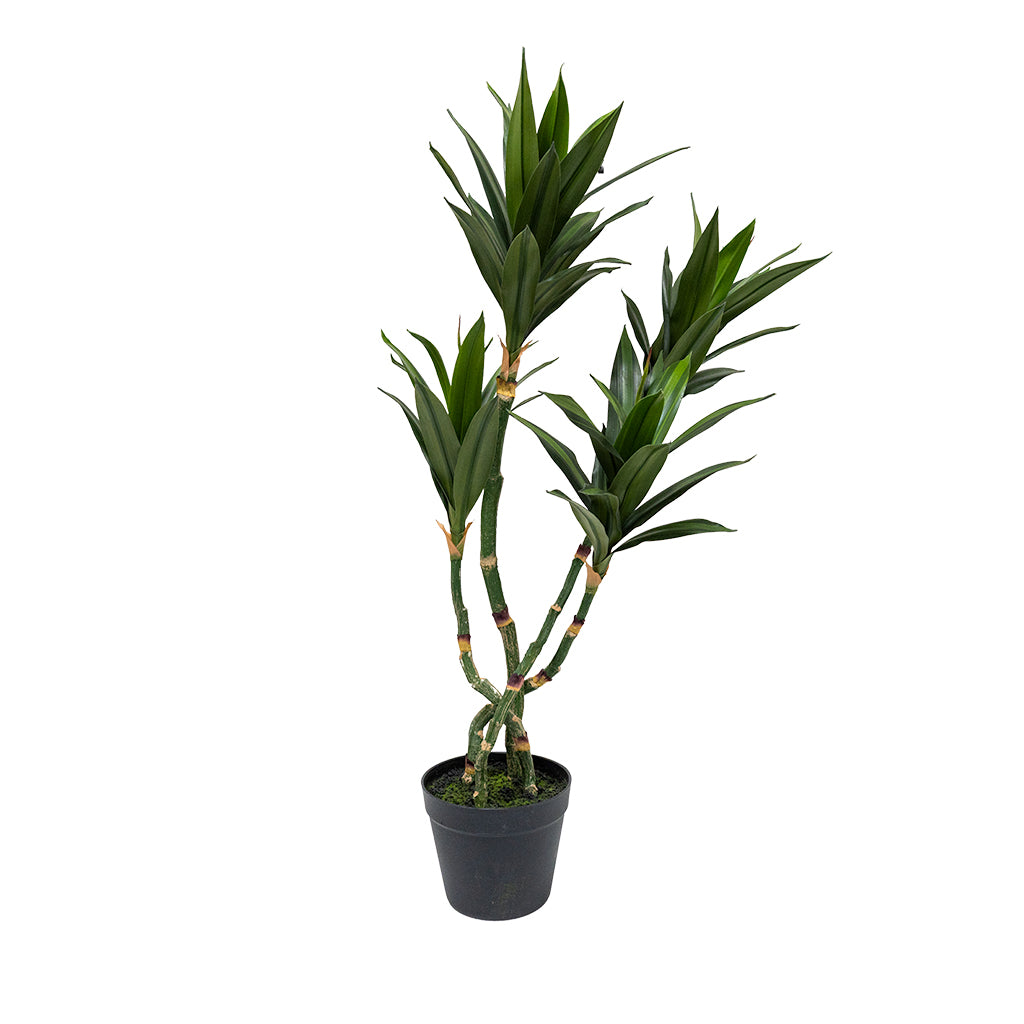 Artificial Dracaena Reflexa plant, 80cm tall, with lush green leaves, designed for indoor decor by BEACON.