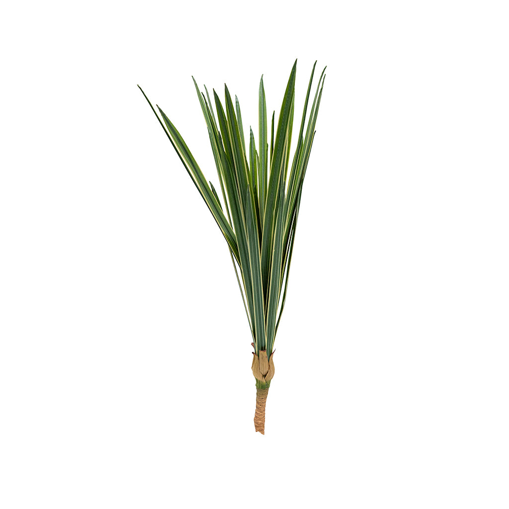 Artificial Beaucarnea recurvata plant, 59cm tall, with lush green leaves and woody trunk, designed for realistic indoor decor.