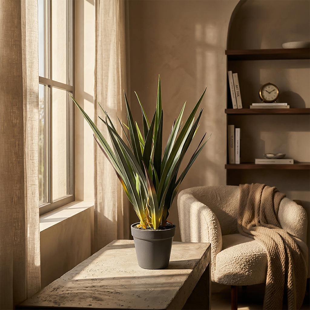 Artificial Dracaena Draco plant, 52cm tall, featuring realistic green leaves, ideal for home or office decor.