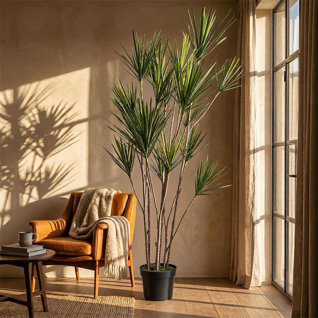 Artificial Dracaena Reflexa plant, 180cm tall with 11 heads and 315 leaves in a pot, by BEACON(XYDG).