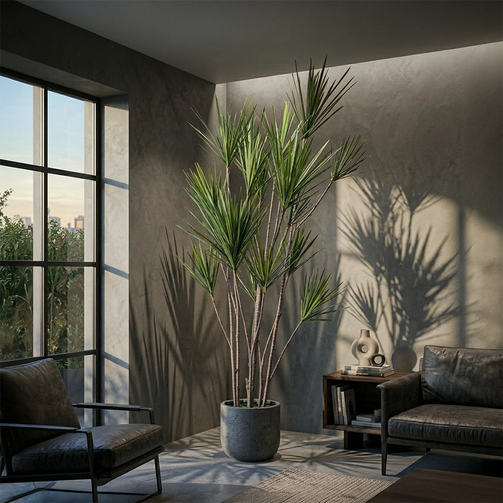 Artificial Dracaena Reflexa plant, 245cm tall with 19 heads and 547 leaves in a pot, by BEACON, realistic indoor decorative plant