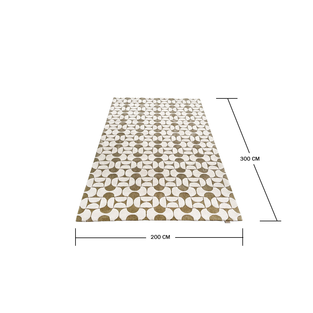 Pre-order 55 Days Delivery 300X200 Cm Modena Hand Tufted Acrylic Carpet NR-040-3020