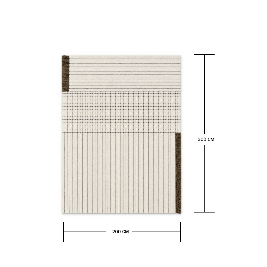 Pre-order 55 Days Delivery 300X200 Cm Noren Hand Tufted Acrylic Carpet NR-028-3020