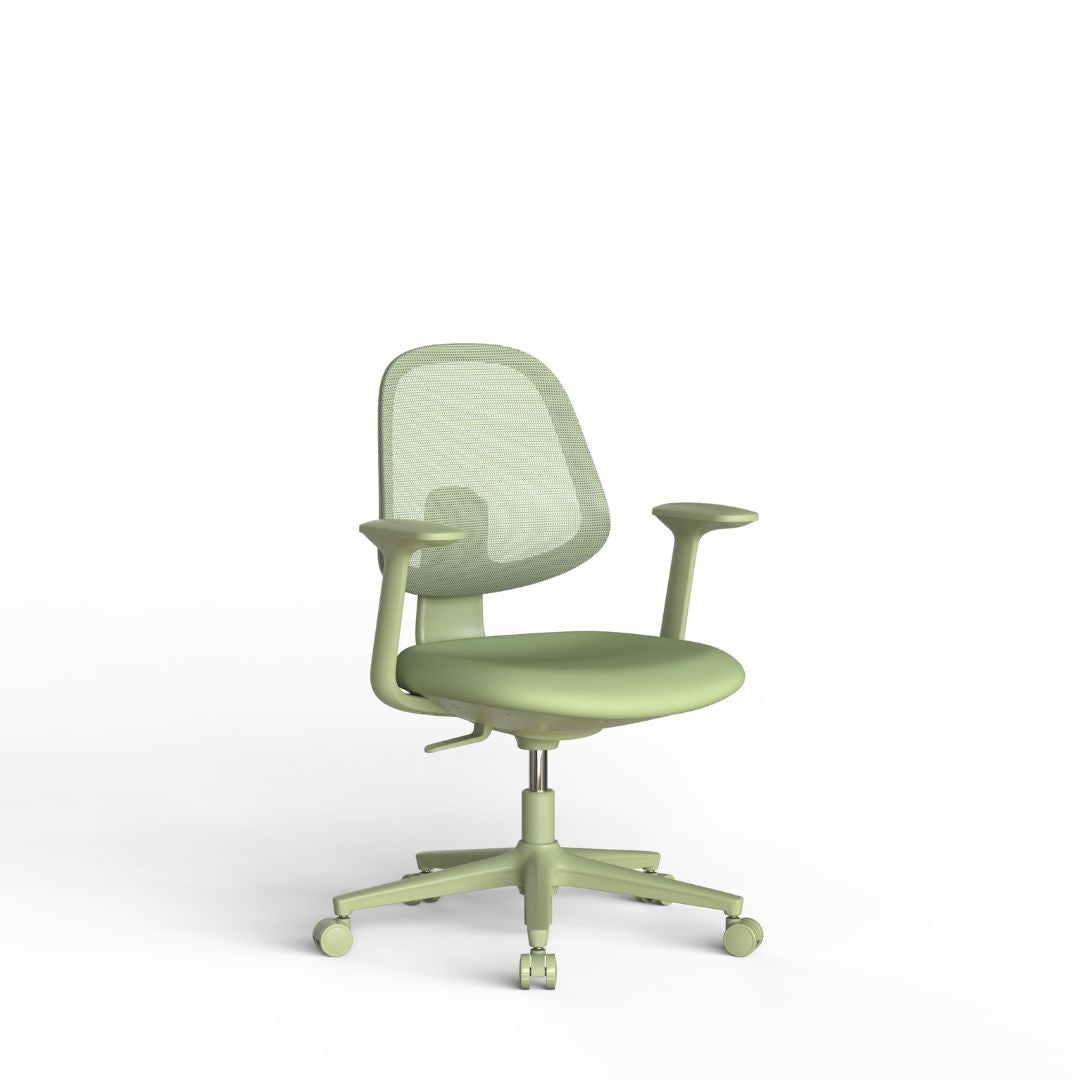 Pre-order 90 Days Delivery Soma Office Chair SK1311 - Mint Green