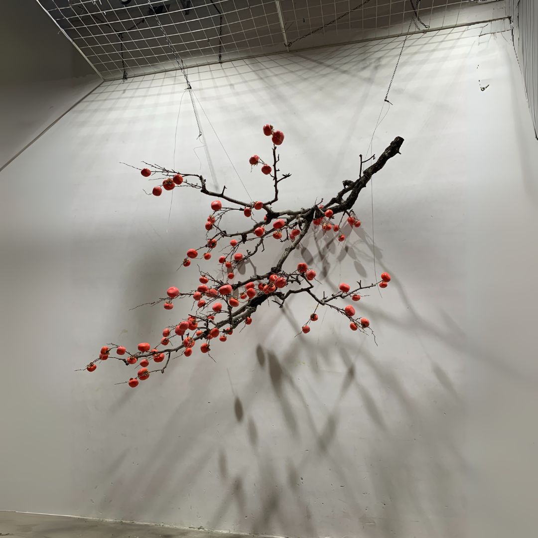 Pre-order 25 Days Delivery Artificial Hoisting Persimmon Tree -  Plants - ebarza Furniture UAE | Shop Modern Furniture in Abu Dhabi & Dubai - مفروشات ايبازرا في الامارات | تسوق اثاث عصري وديكورات مميزة في دبي وابوظبي