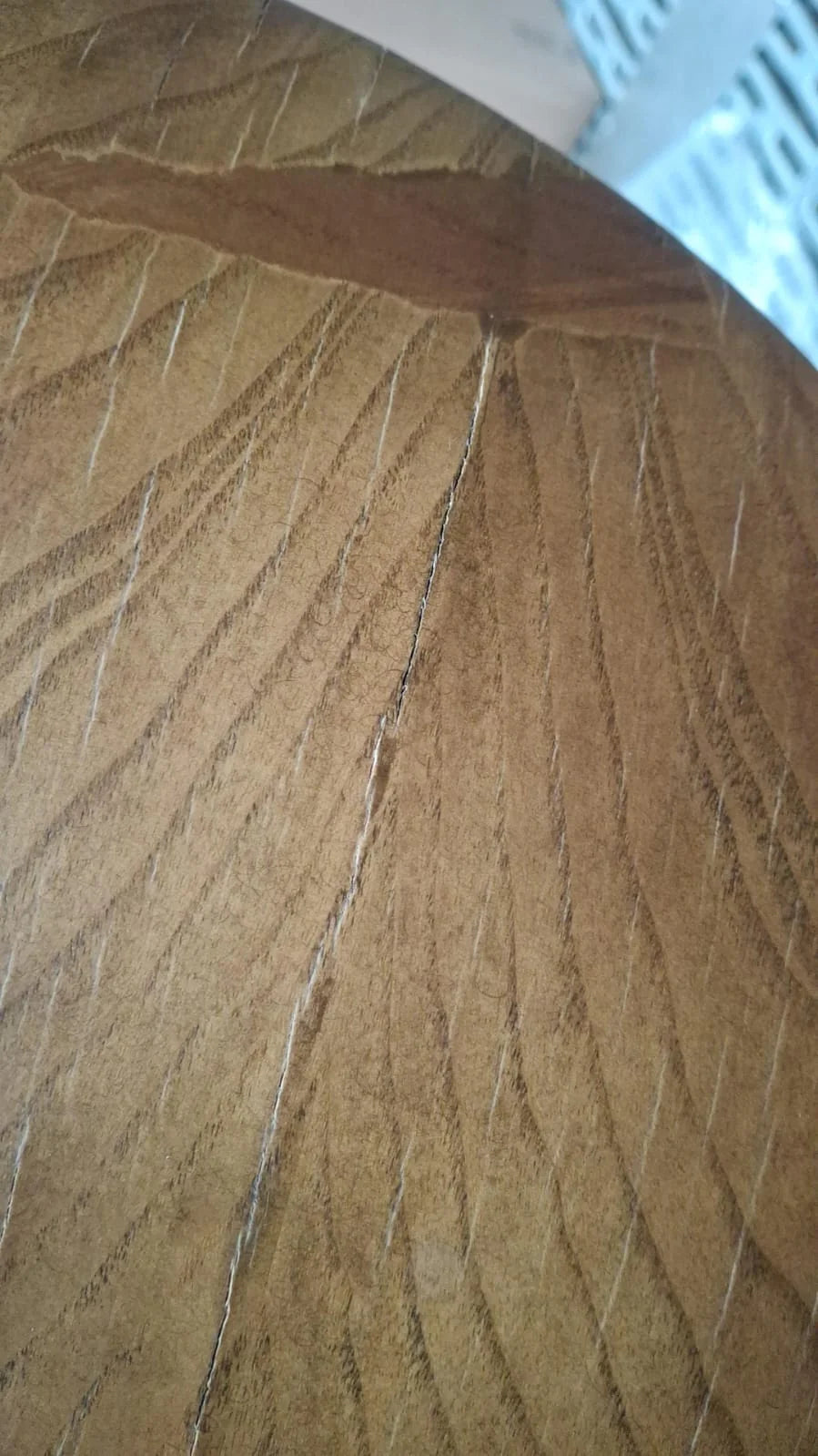 AS IS - Flora Lounge Chair Flora-Wero040 -  DISPLAY ITEM - ebarza Furniture UAE | Shop Modern Furniture in Abu Dhabi & Dubai - مفروشات ايبازرا في الامارات | تسوق اثاث عصري وديكورات مميزة في دبي وابوظبي