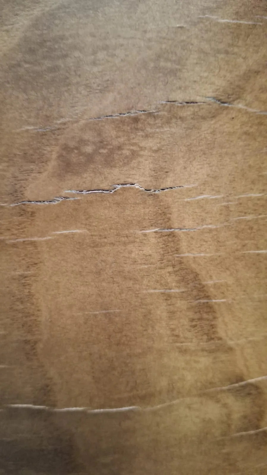 AS IS - Flora Lounge Chair Flora-Wero040 -  DISPLAY ITEM - ebarza Furniture UAE | Shop Modern Furniture in Abu Dhabi & Dubai - مفروشات ايبازرا في الامارات | تسوق اثاث عصري وديكورات مميزة في دبي وابوظبي