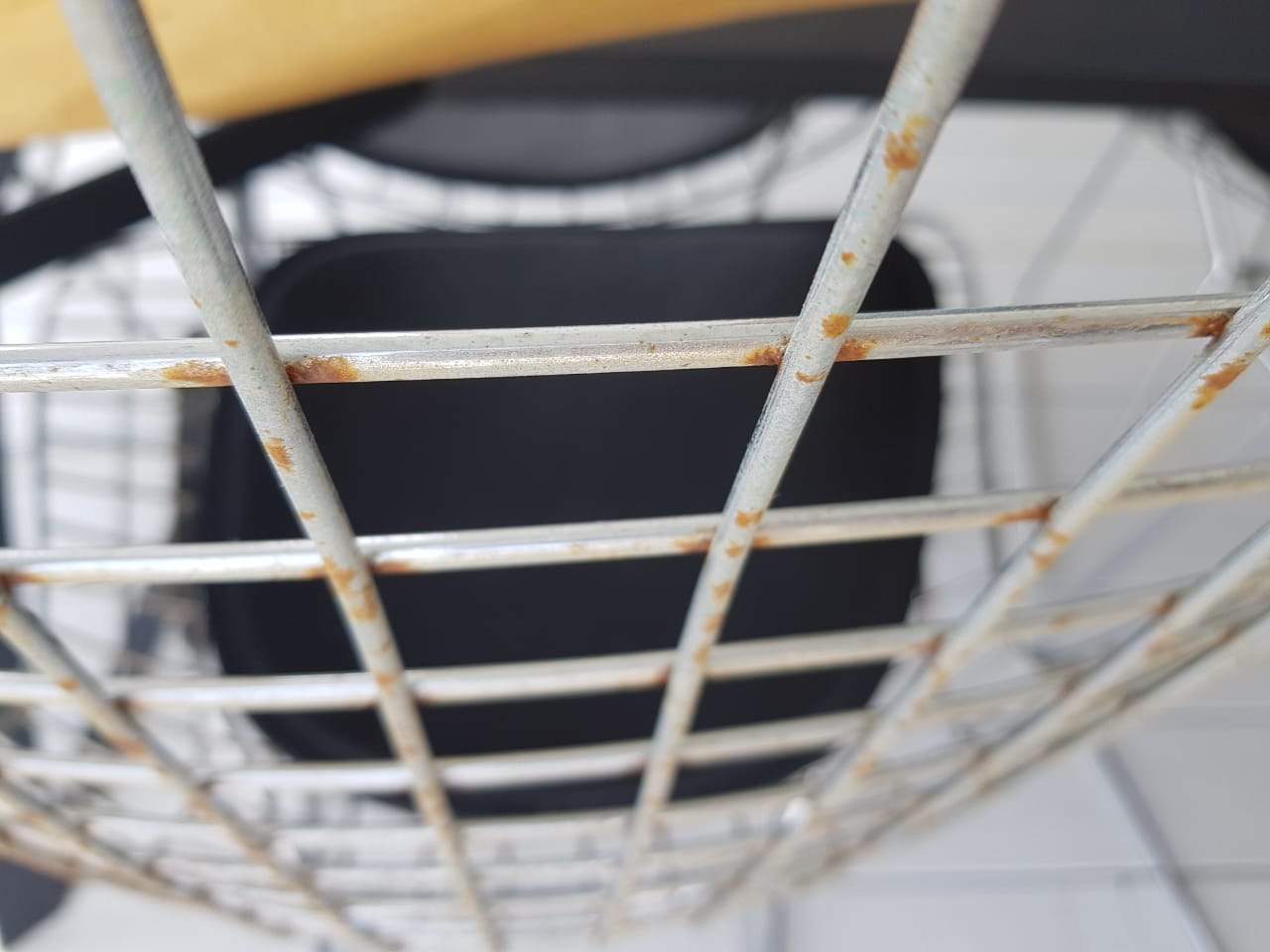 As Is Wire Chair & Genuine Leather Cushion Bp8020-Cr -  DISPLAY ITEM - ebarza Furniture UAE | Shop Modern Furniture in Abu Dhabi & Dubai - مفروشات ايبازرا في الامارات | تسوق اثاث عصري وديكورات مميزة في دبي وابوظبي