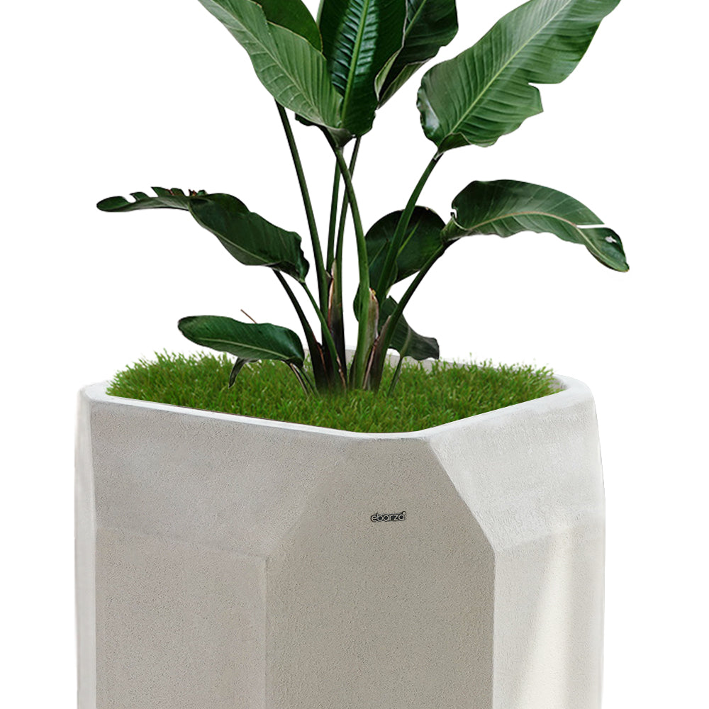 Beige BEACON planter box XK-4084A made of durable material, ideal for outdoor gardening and decorative plant displays.