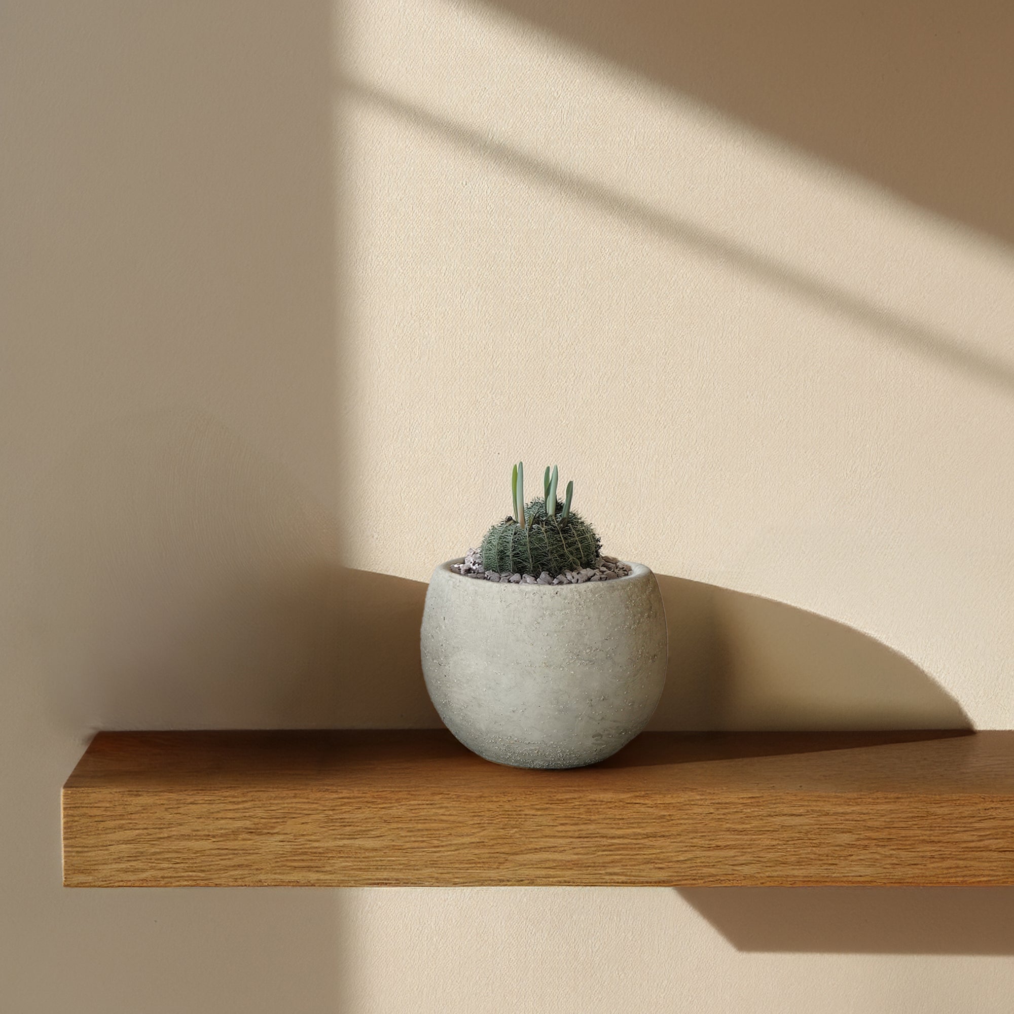 Cloud White Bud outdoor/indoor planter box by BEACON, stylish container for plants with a sleek modern design.