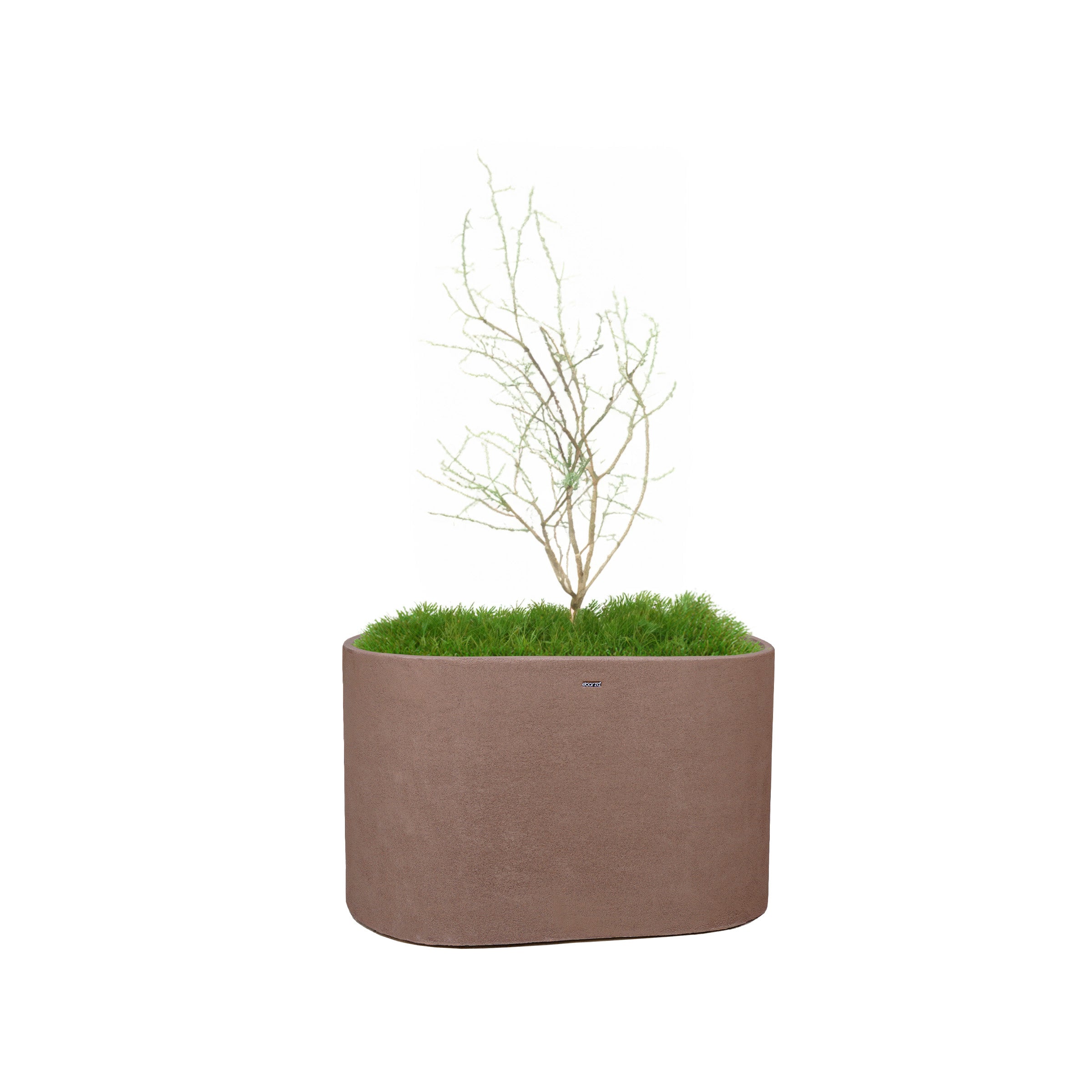 Coffee brown planter box from BEACON HWDG, rectangular container ideal for indoor or outdoor plant displays.