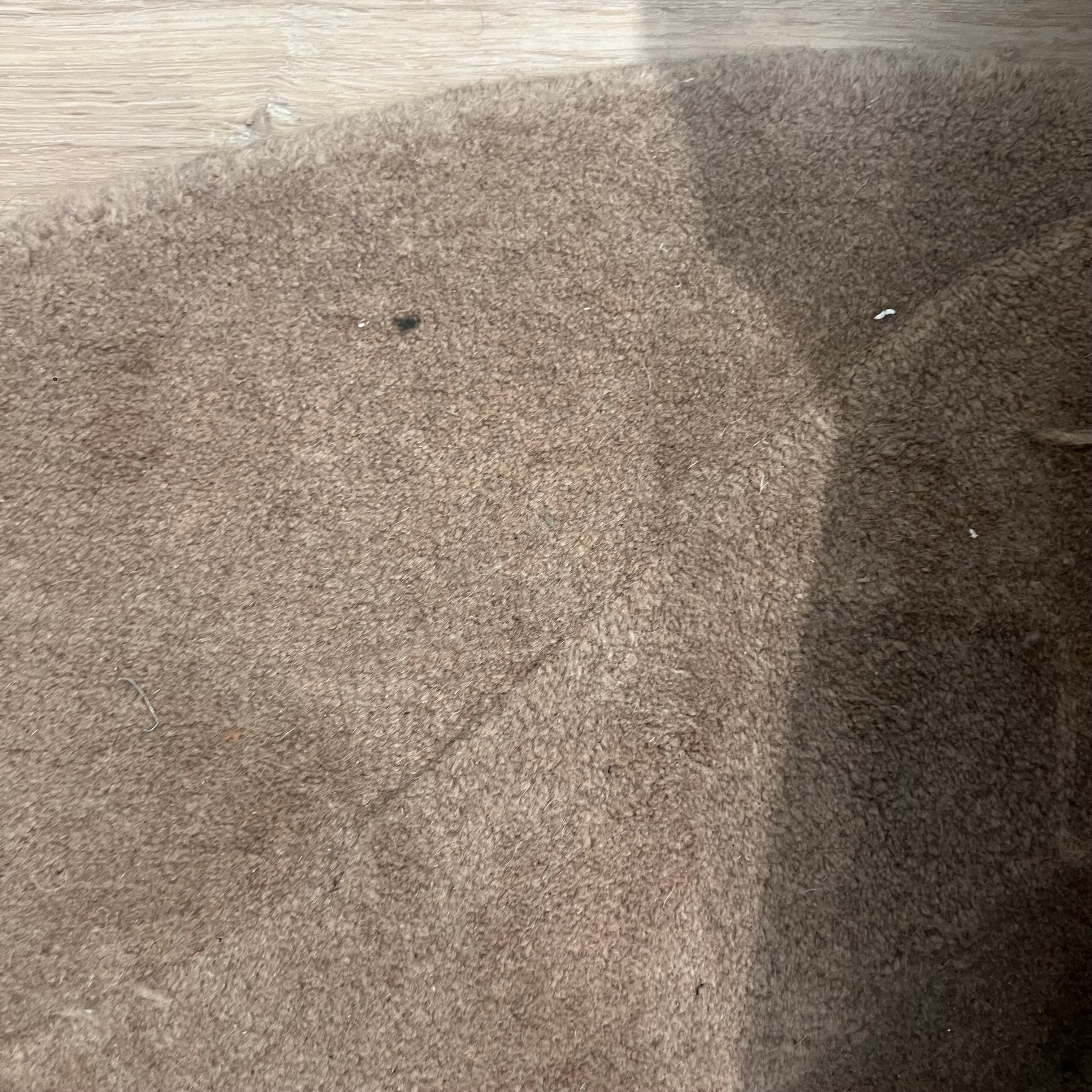 Display Item - 400X350 Cm  WOOL DARK BEIGE Rug JH-22726 Nakheel -  DISPLAY ITEM - ebarza Furniture UAE | Shop Modern Furniture in Abu Dhabi & Dubai - مفروشات ايبازرا في الامارات | تسوق اثاث عصري وديكورات مميزة في دبي وابوظبي