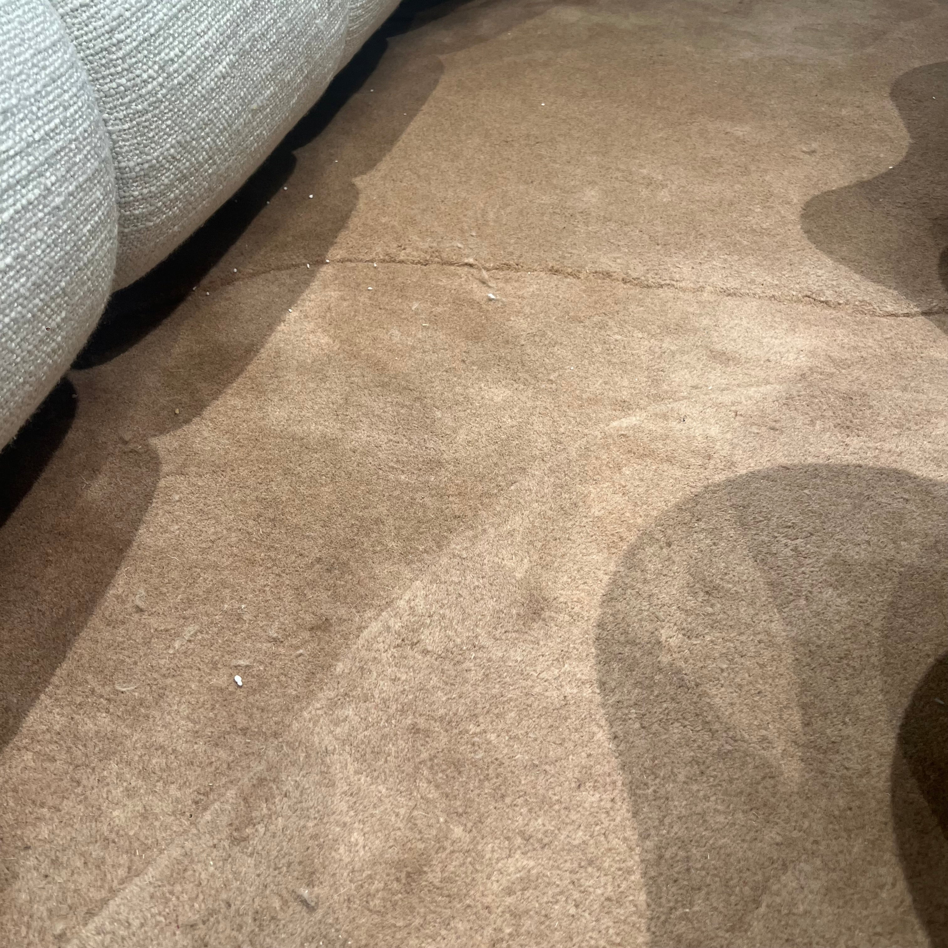 Display Item - 400X350 Cm  WOOL DARK BEIGE Rug JH-22726 Nakheel -  DISPLAY ITEM - ebarza Furniture UAE | Shop Modern Furniture in Abu Dhabi & Dubai - مفروشات ايبازرا في الامارات | تسوق اثاث عصري وديكورات مميزة في دبي وابوظبي