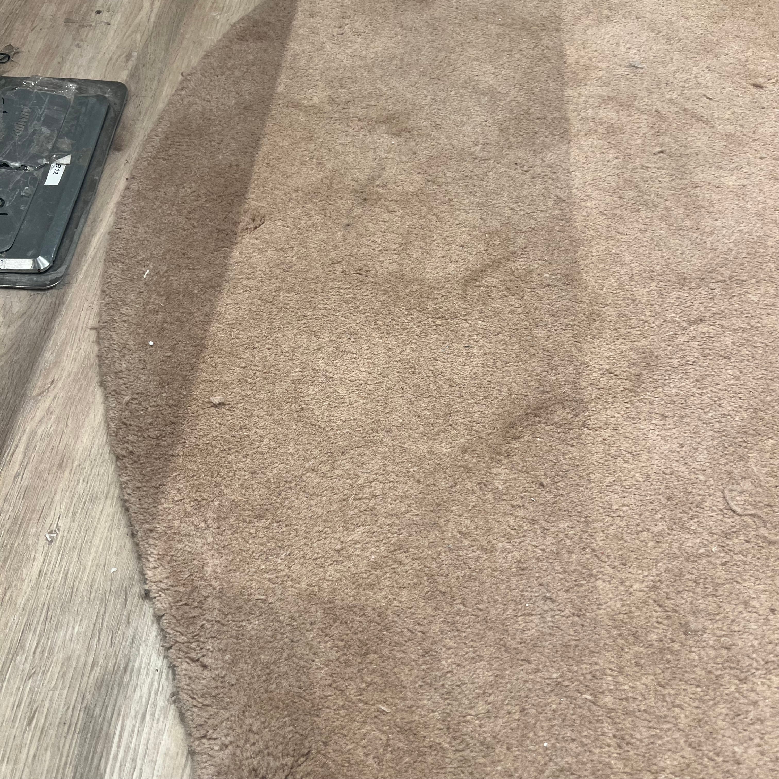Display Item - 400X350 Cm  WOOL DARK BEIGE Rug JH-22726 Nakheel -  DISPLAY ITEM - ebarza Furniture UAE | Shop Modern Furniture in Abu Dhabi & Dubai - مفروشات ايبازرا في الامارات | تسوق اثاث عصري وديكورات مميزة في دبي وابوظبي