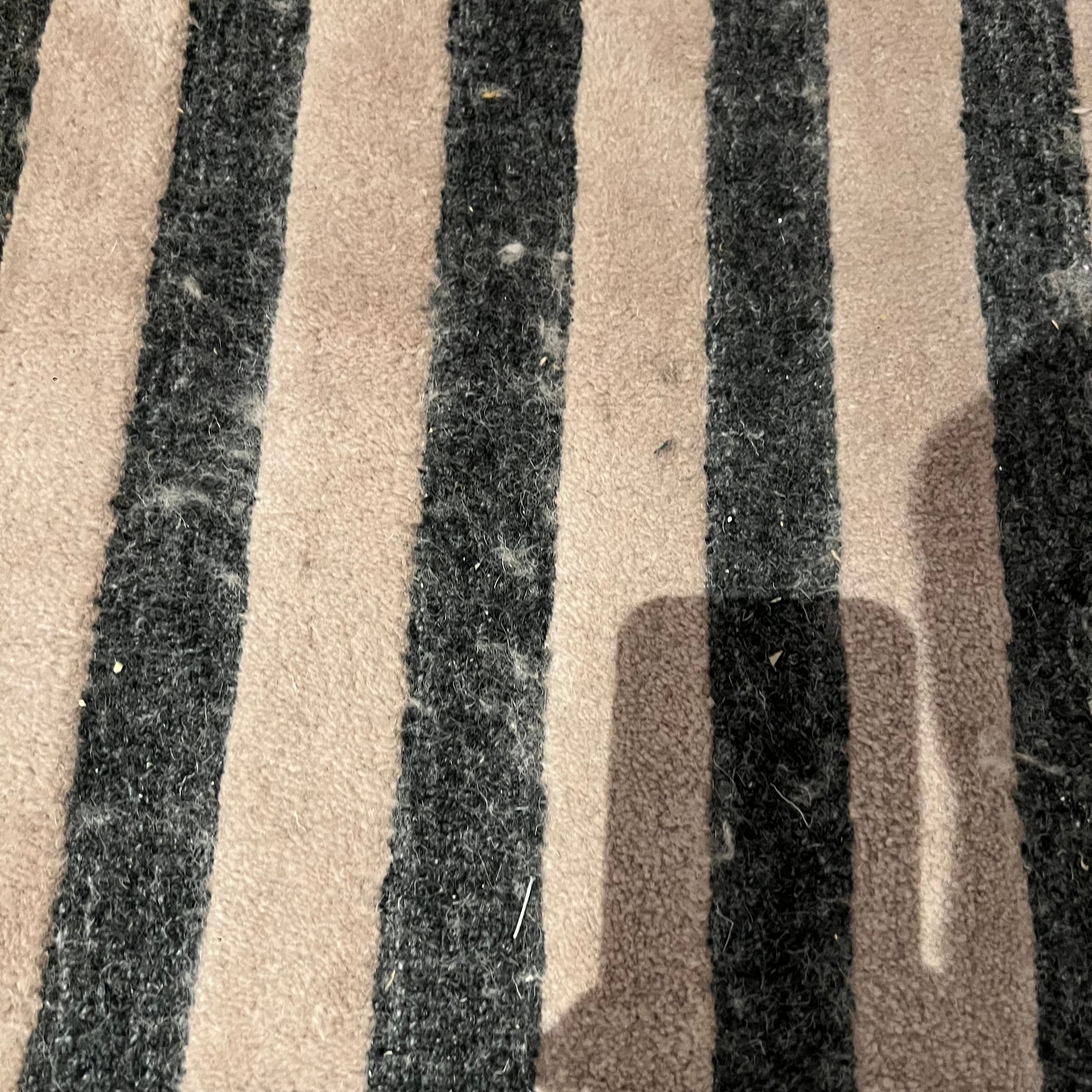 Display of beige and brown wool rug measuring 450x300 cm with intricate patterns by Javi, brand JH-22731 Nakheel.