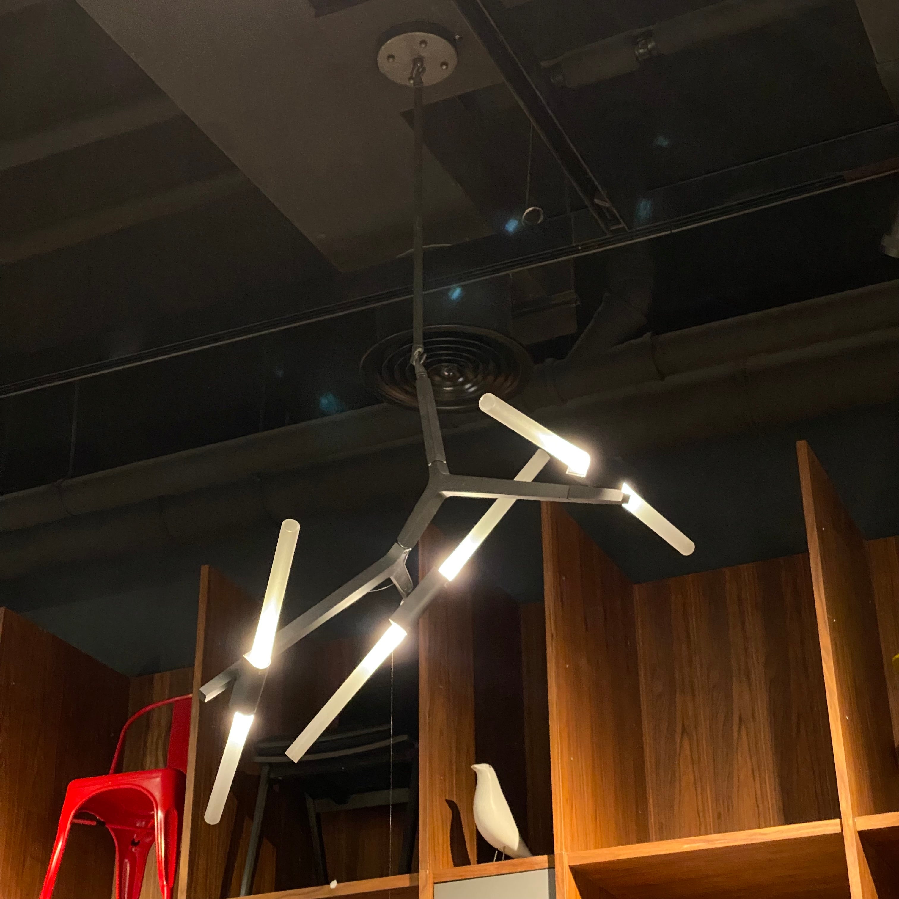 BEACON 6-head branch chandelier pendant lamp with modern design, featuring six hanging light fixtures on a sleek frame.