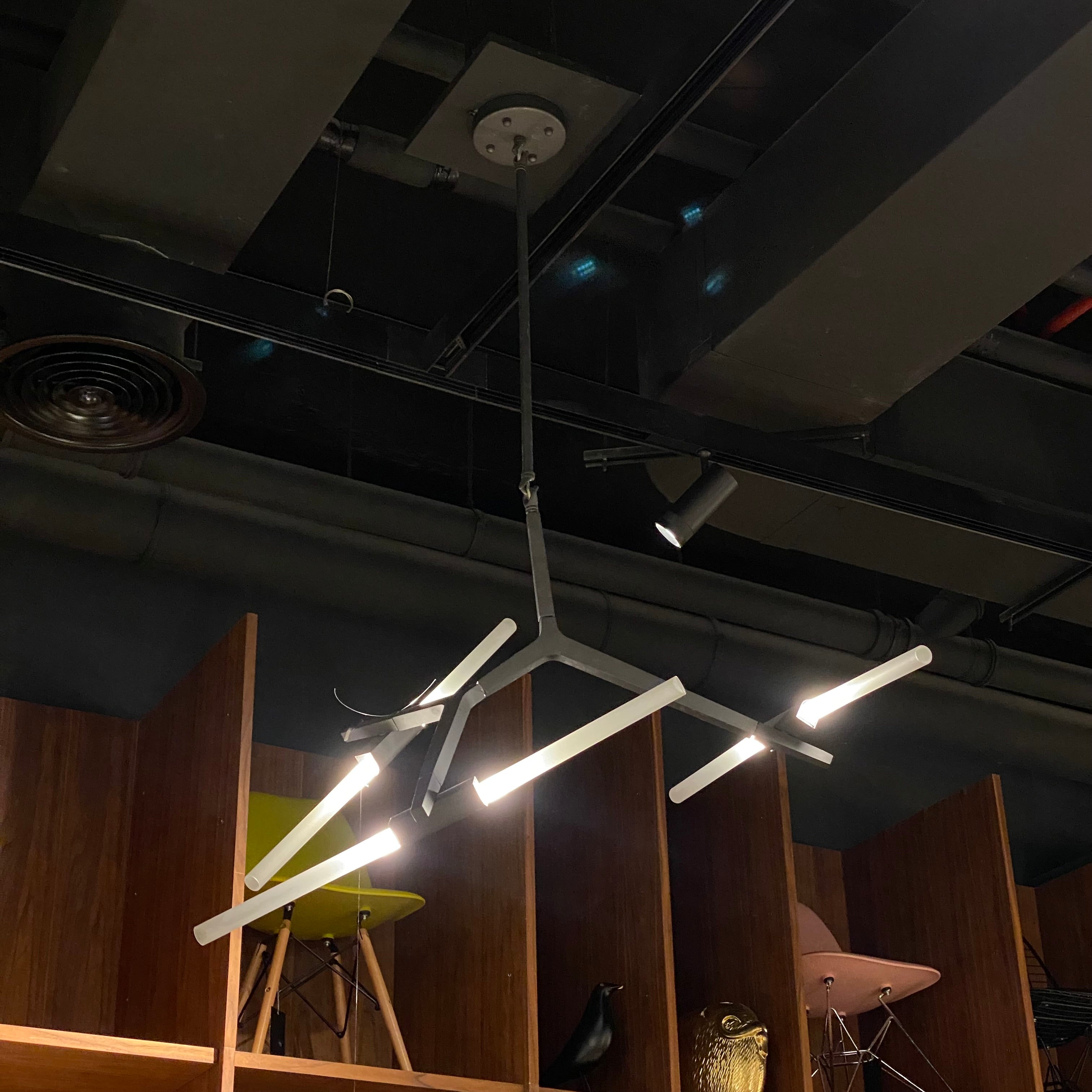Display of BEACON Cy-New-002-6-Bnakheel pendant chandelier with six branch heads, modern design, ideal for stylish lighting.