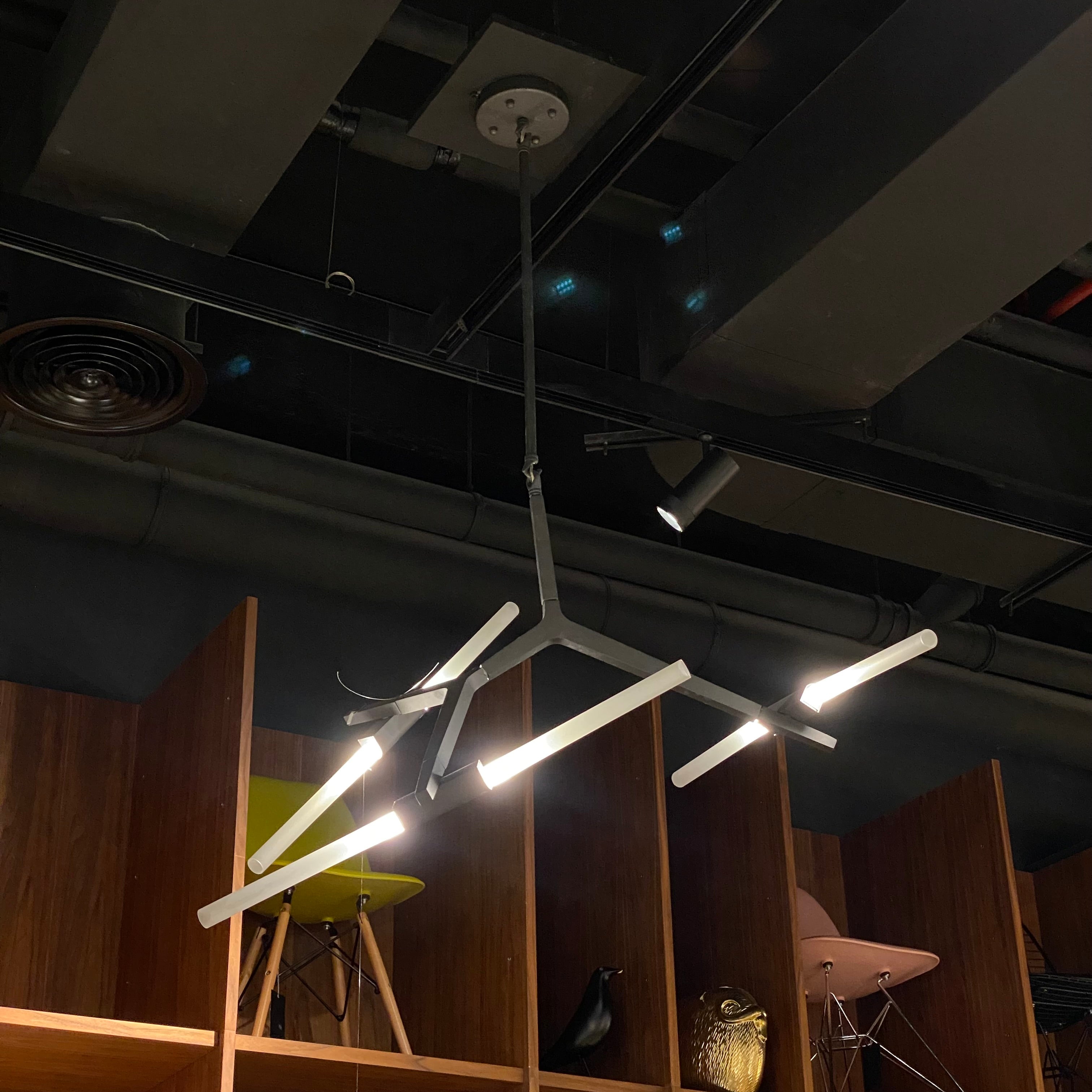 BEACON branch 6-heads chandelier pendant lamp, modern design with multiple hanging lights, ideal for stylish interior decor.