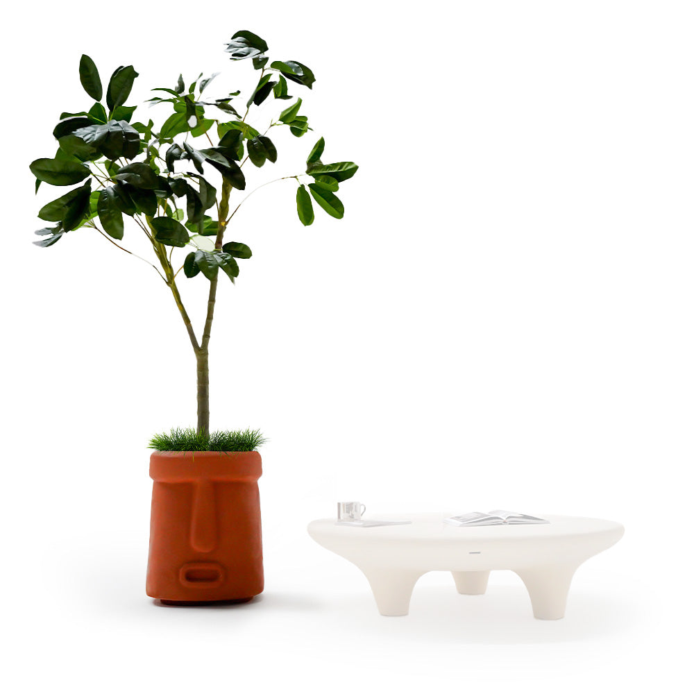 Indoor/outdoor clay planter box by BEACON Nakheel, with a rustic design suitable for plants and decorative displays.