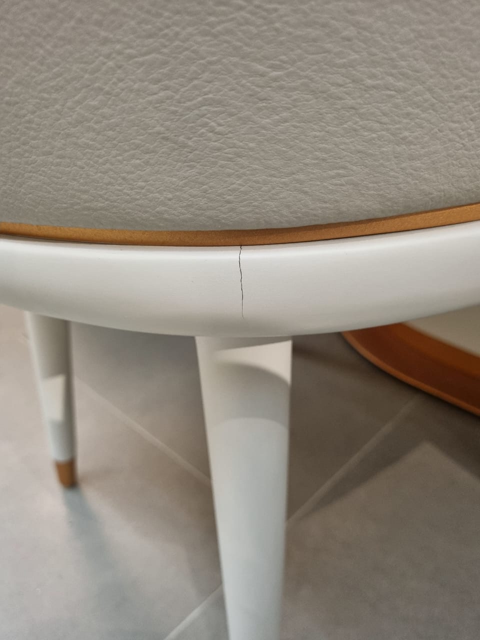 Display of a Tulip Dining Chair by LODA FURNITURE, showcasing sleek modern design with a curved seat and metal base.