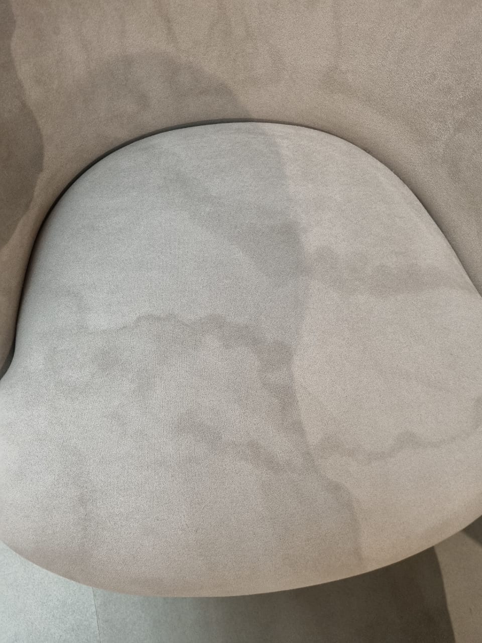 Display image of a Tulip Dining Chair by LODA Furniture, showcasing its sleek design and modern style.