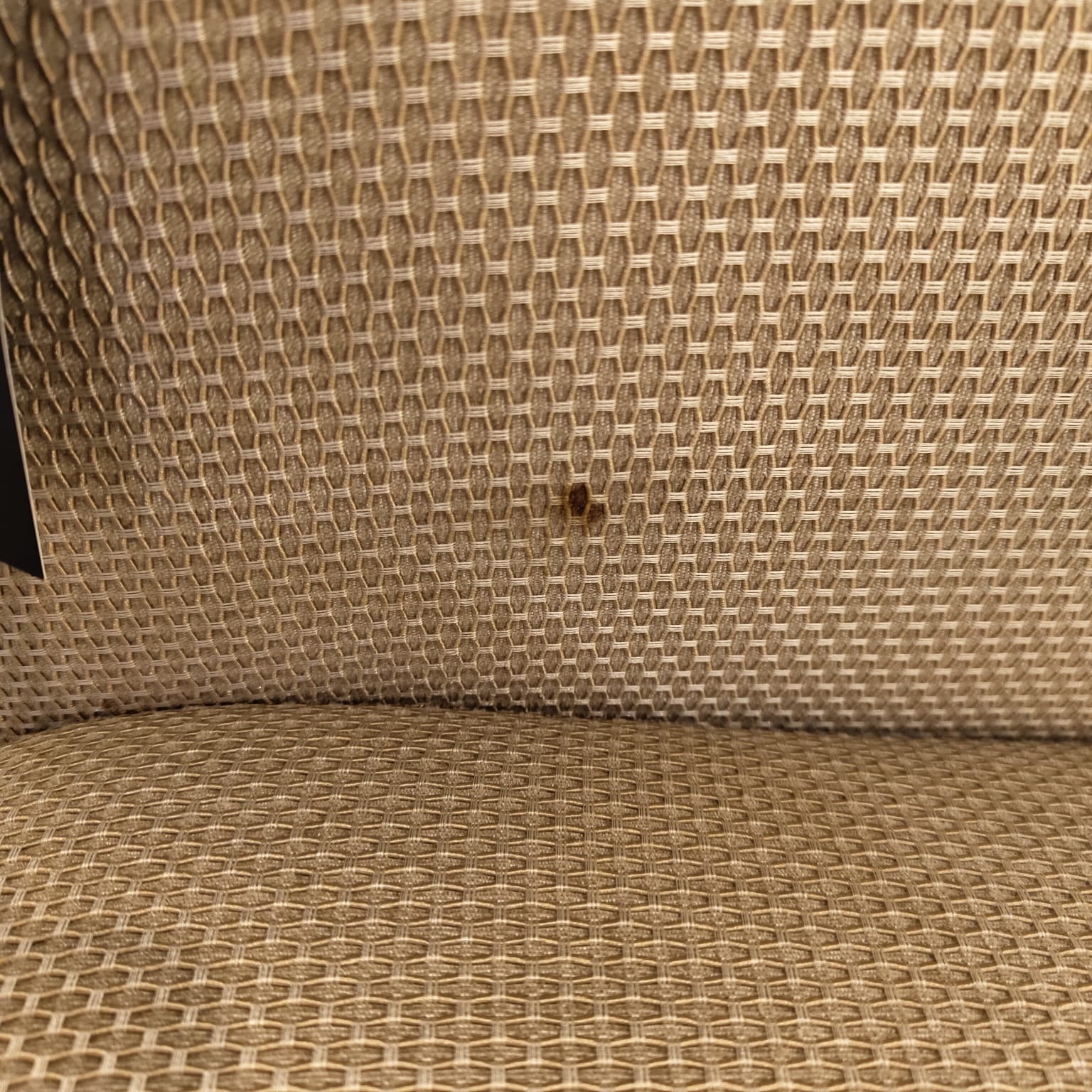 Display Item  - Vega Armchair BERVEG001YAS -  DISPLAY ITEM - ebarza Furniture UAE | Shop Modern Furniture in Abu Dhabi & Dubai - مفروشات ايبازرا في الامارات | تسوق اثاث عصري وديكورات مميزة في دبي وابوظبي